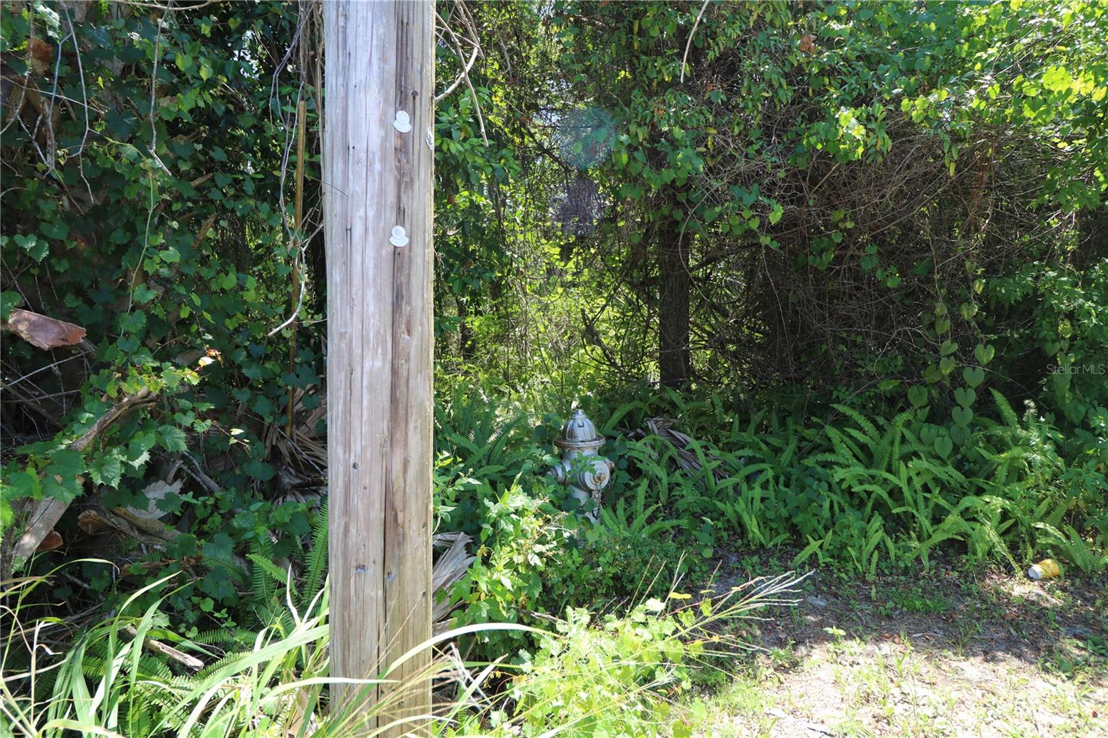 Image 3 of 4 For 0 Franklin Street