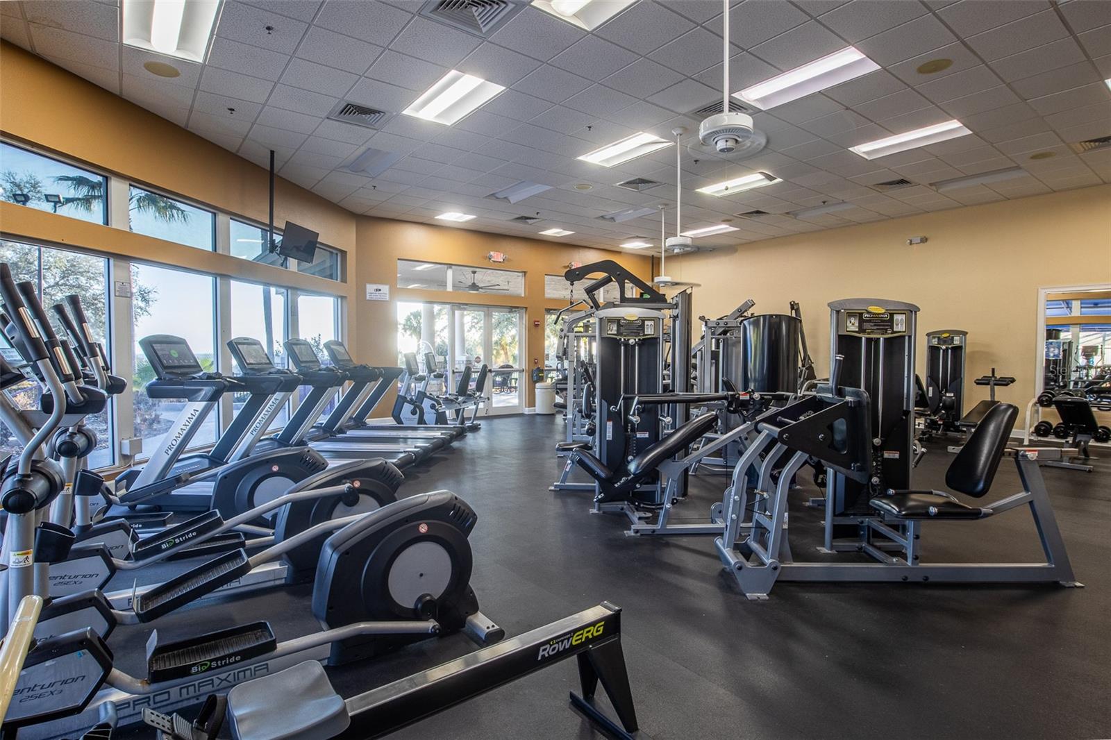 Image 53 of 62 For 1336 Lattimore Drive