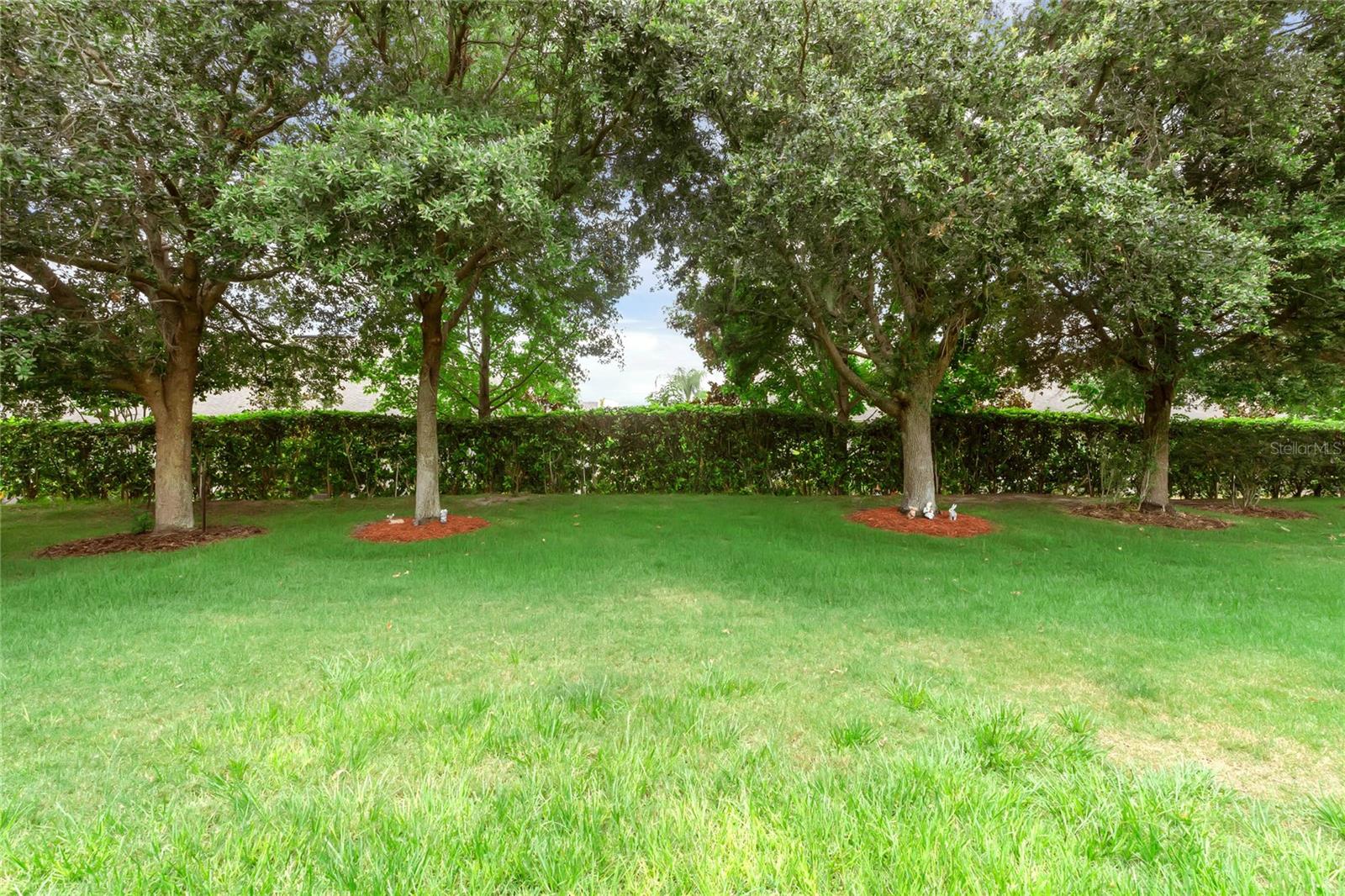 Image 33 of 50 For 3610 Caladesi Road