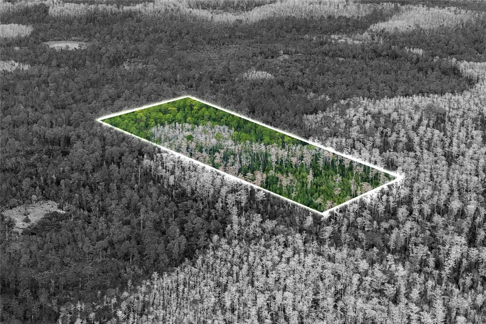 Details for  Dill Road , ORLANDO, FL 32820