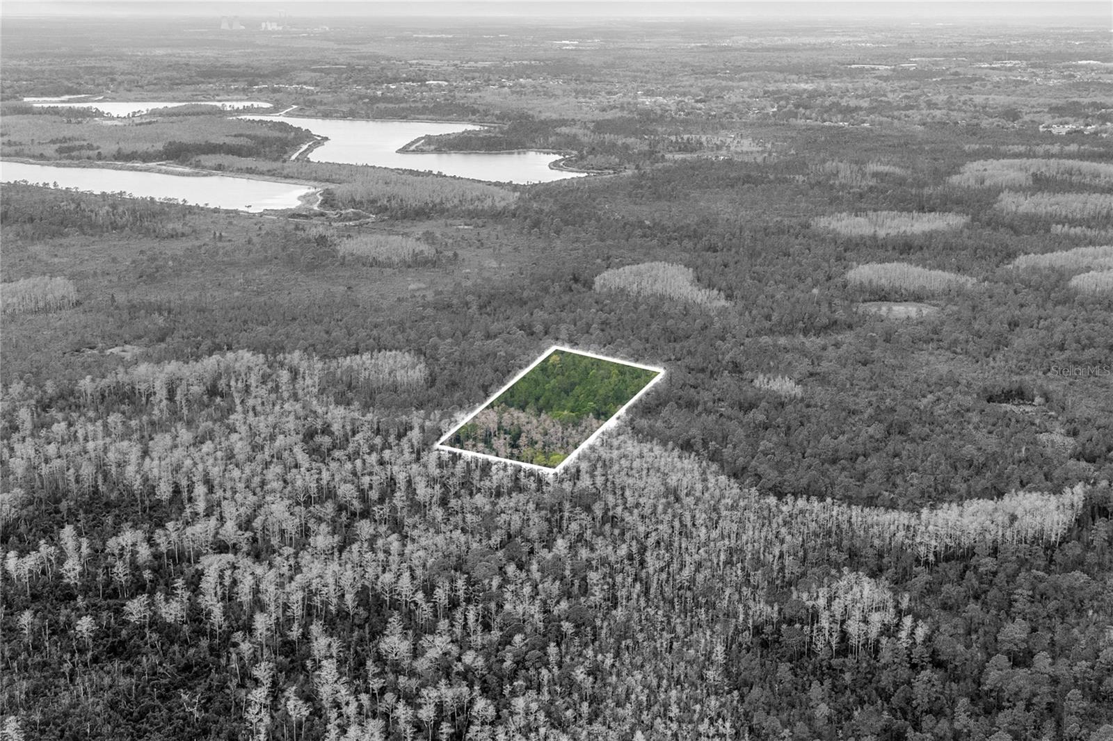 Image 10 of 15 For  Dill Road 