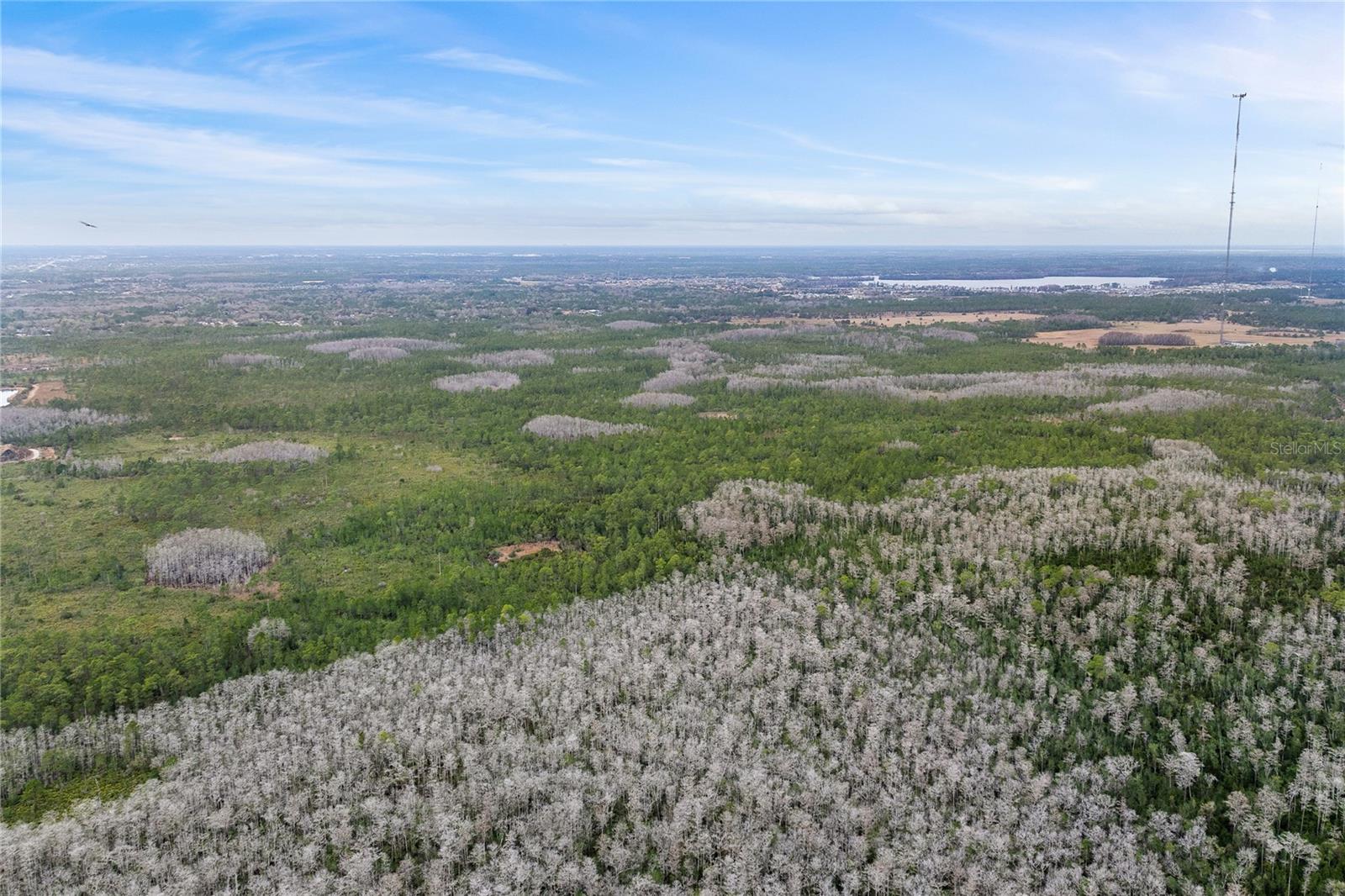 Image 11 of 15 For  Dill Road 