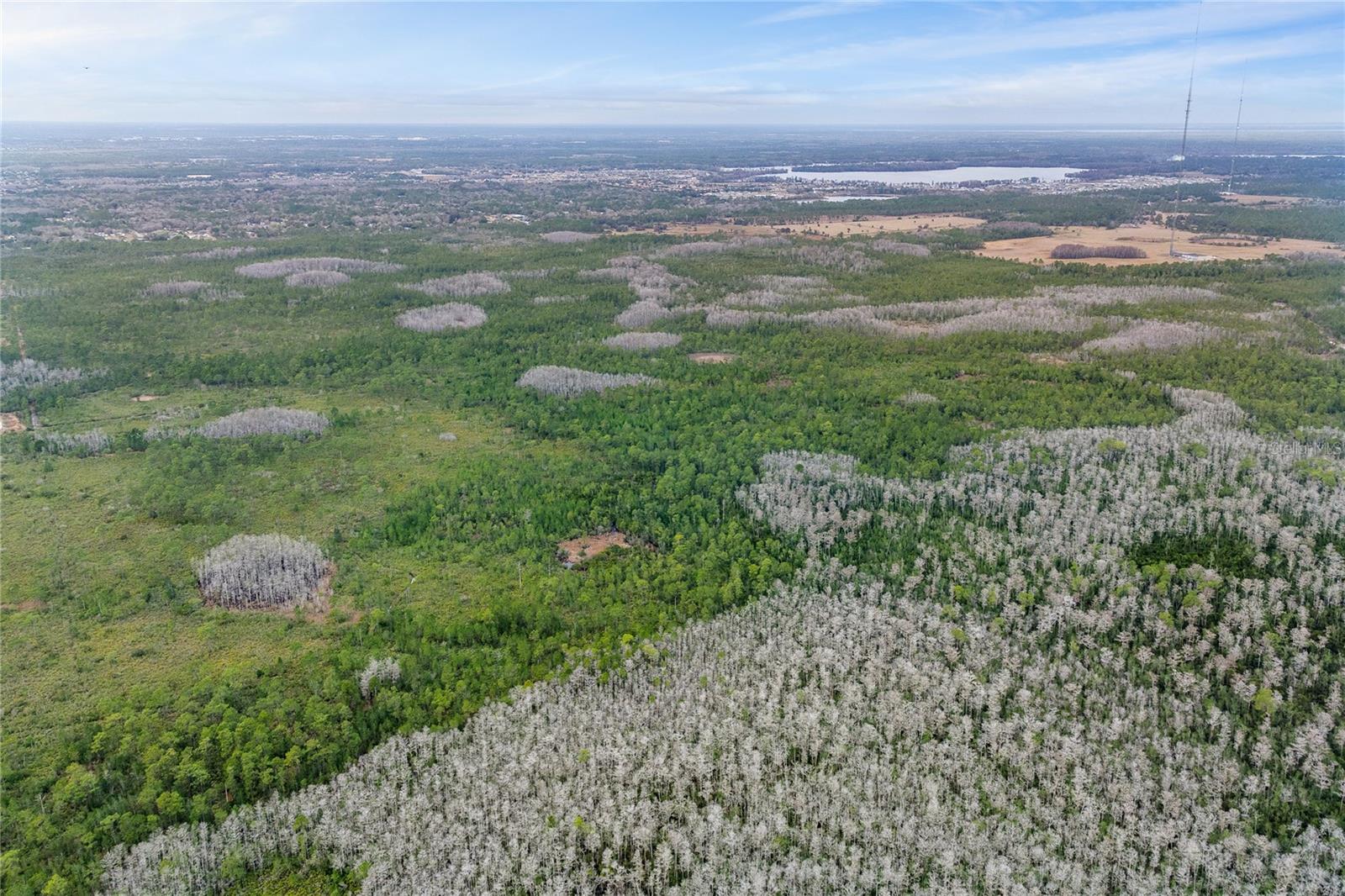 Image 12 of 15 For  Dill Road 