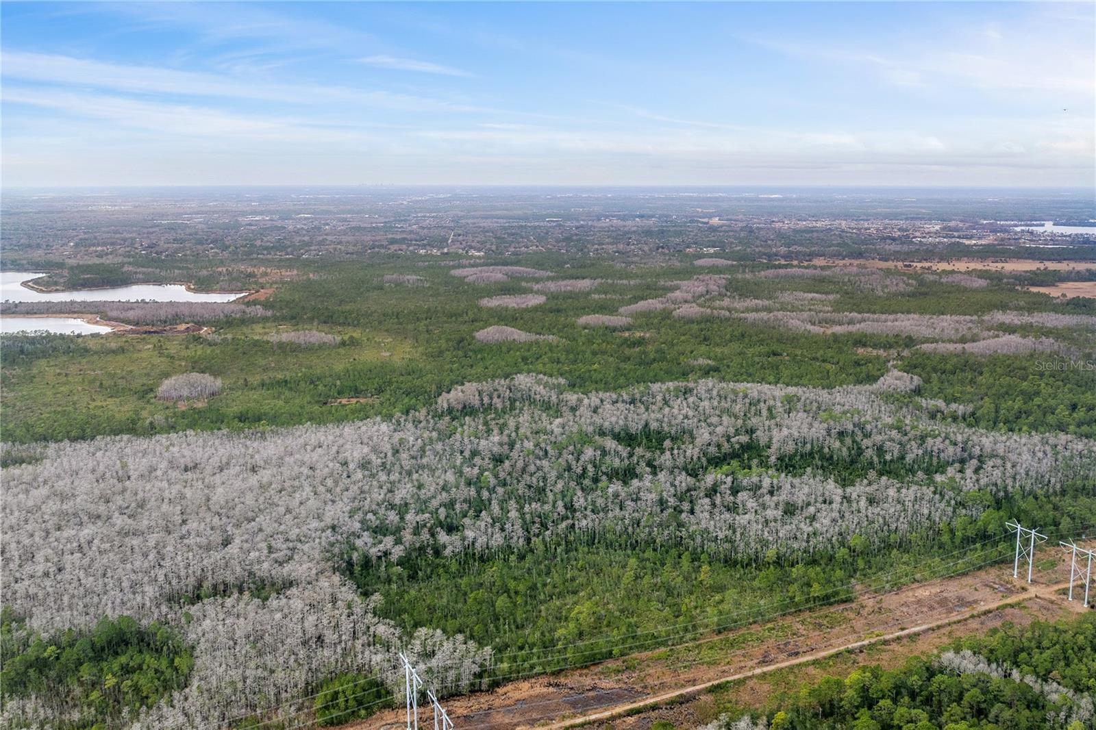 Image 13 of 15 For  Dill Road 