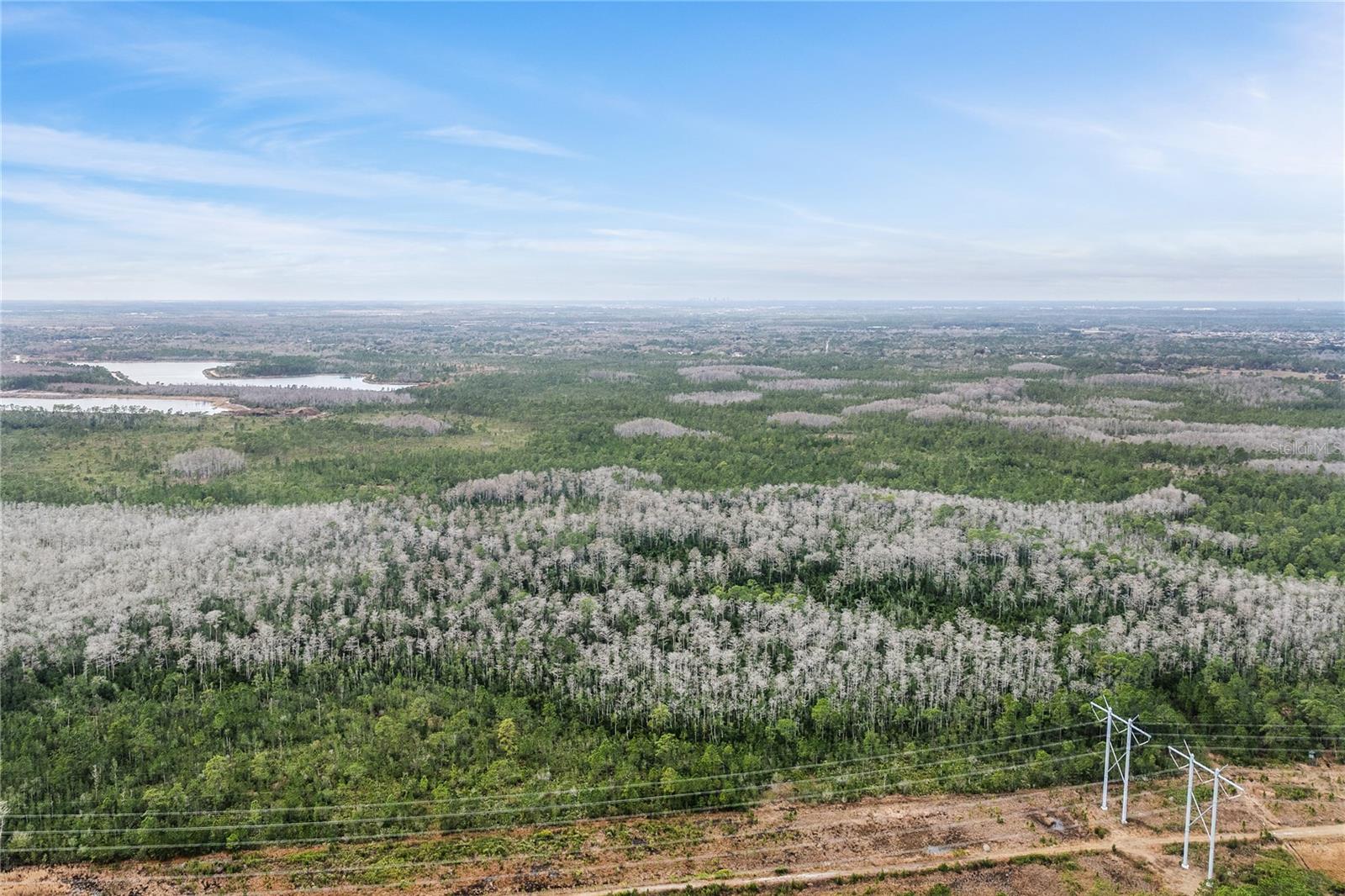 Image 3 of 15 For  Dill Road 