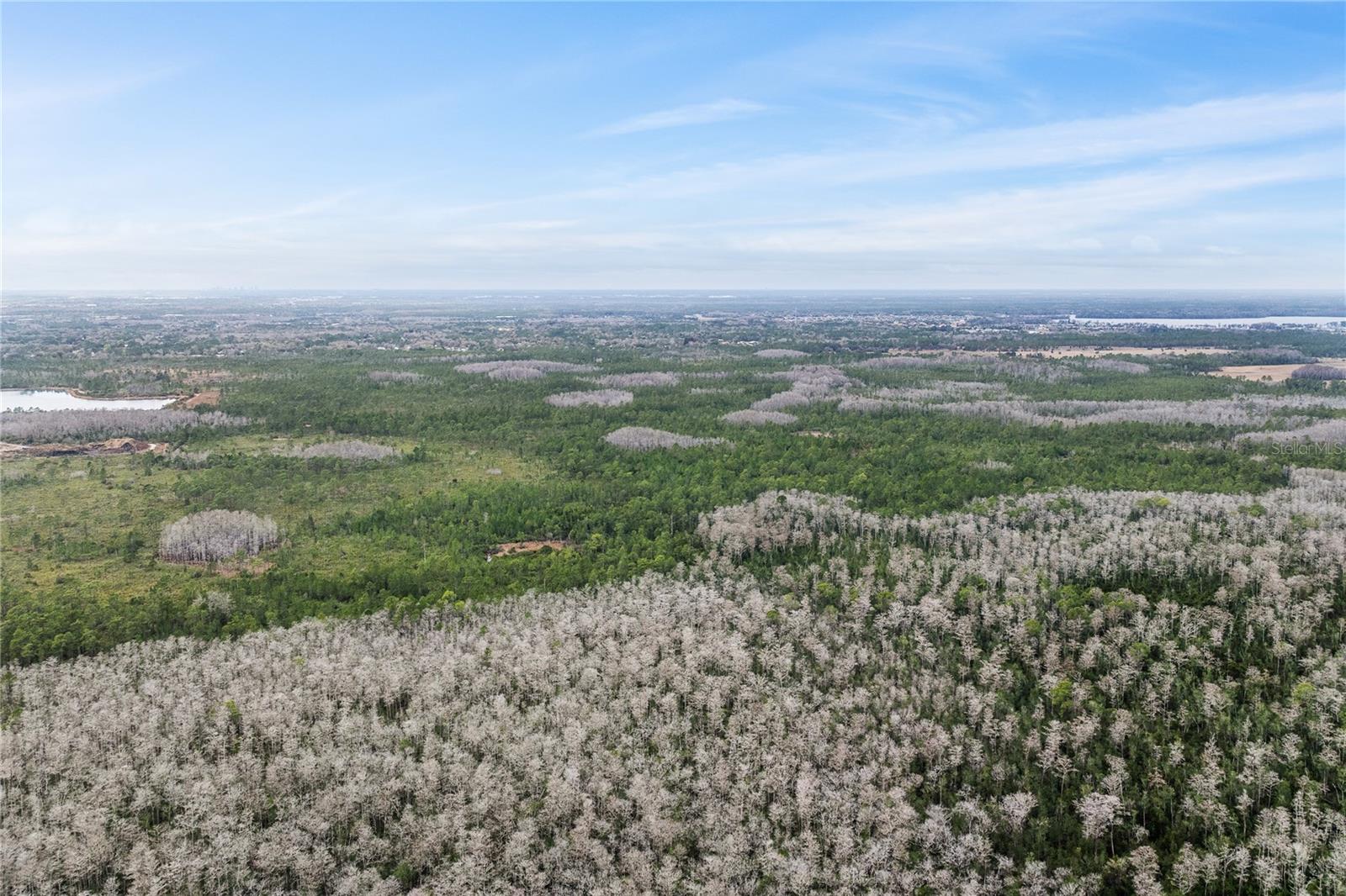 Image 4 of 15 For  Dill Road 