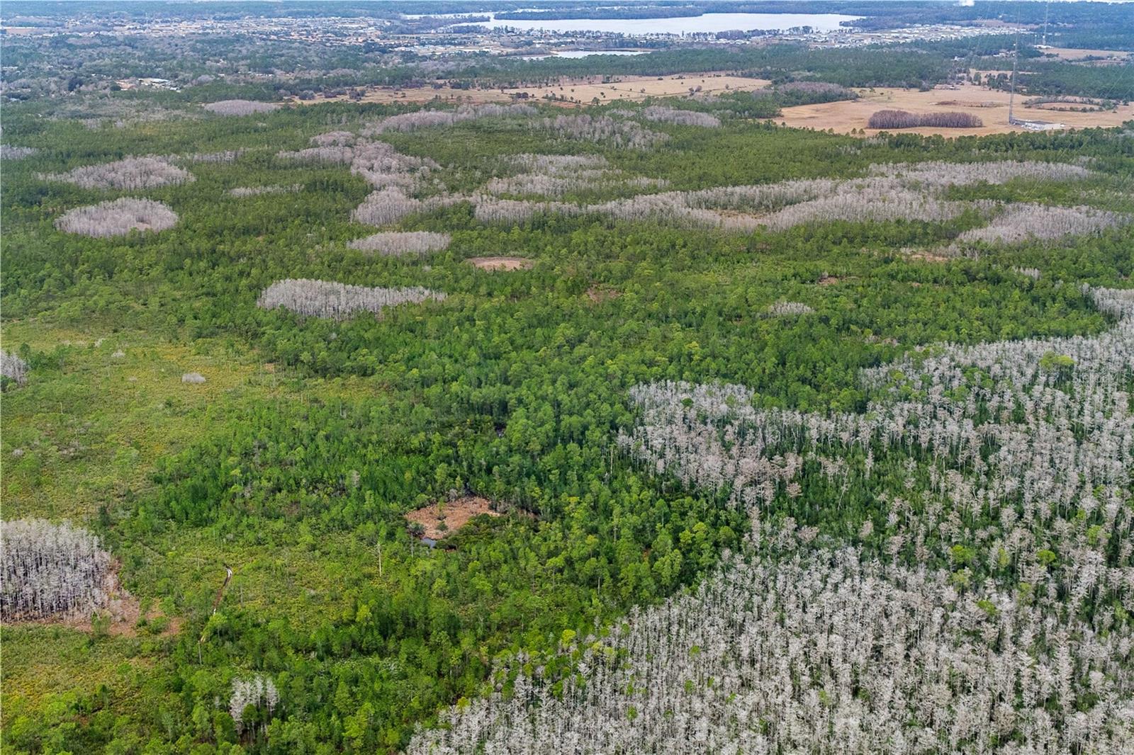 Image 5 of 15 For  Dill Road 