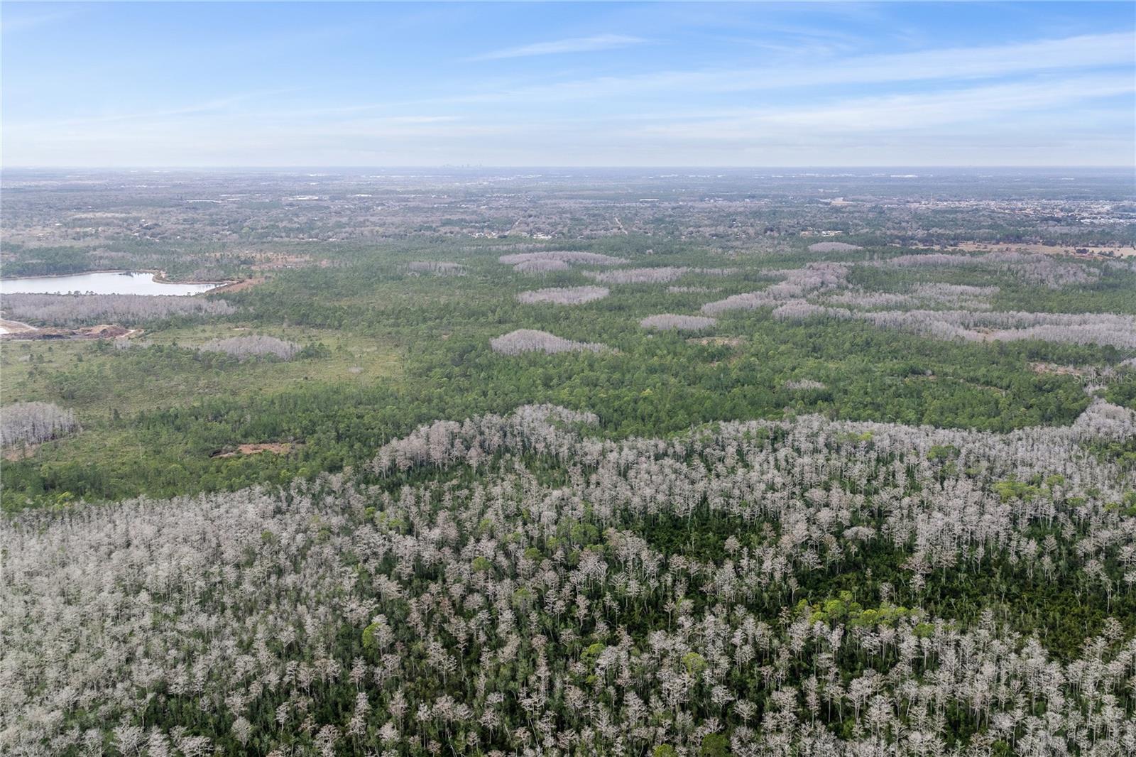 Image 6 of 15 For  Dill Road 