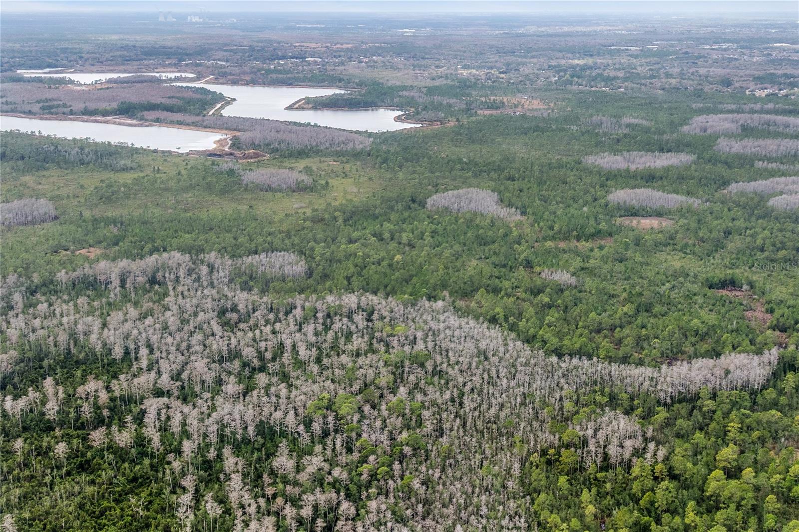 Image 8 of 15 For  Dill Road 