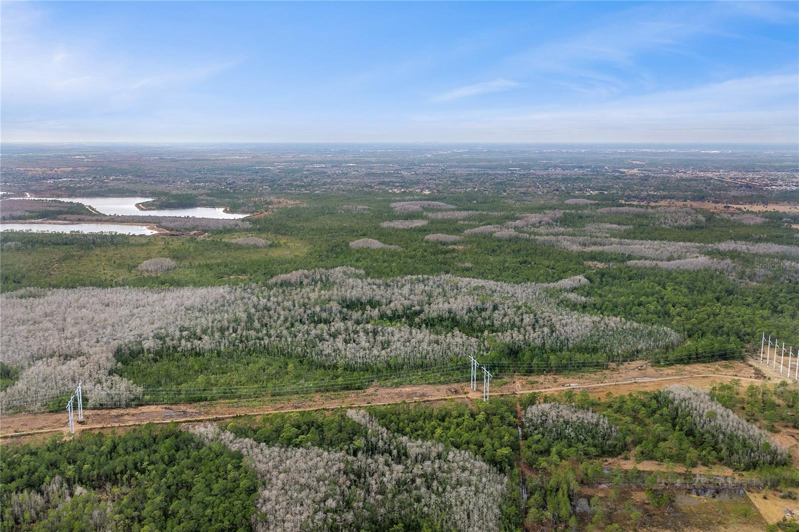 Image 9 of 15 For  Dill Road 