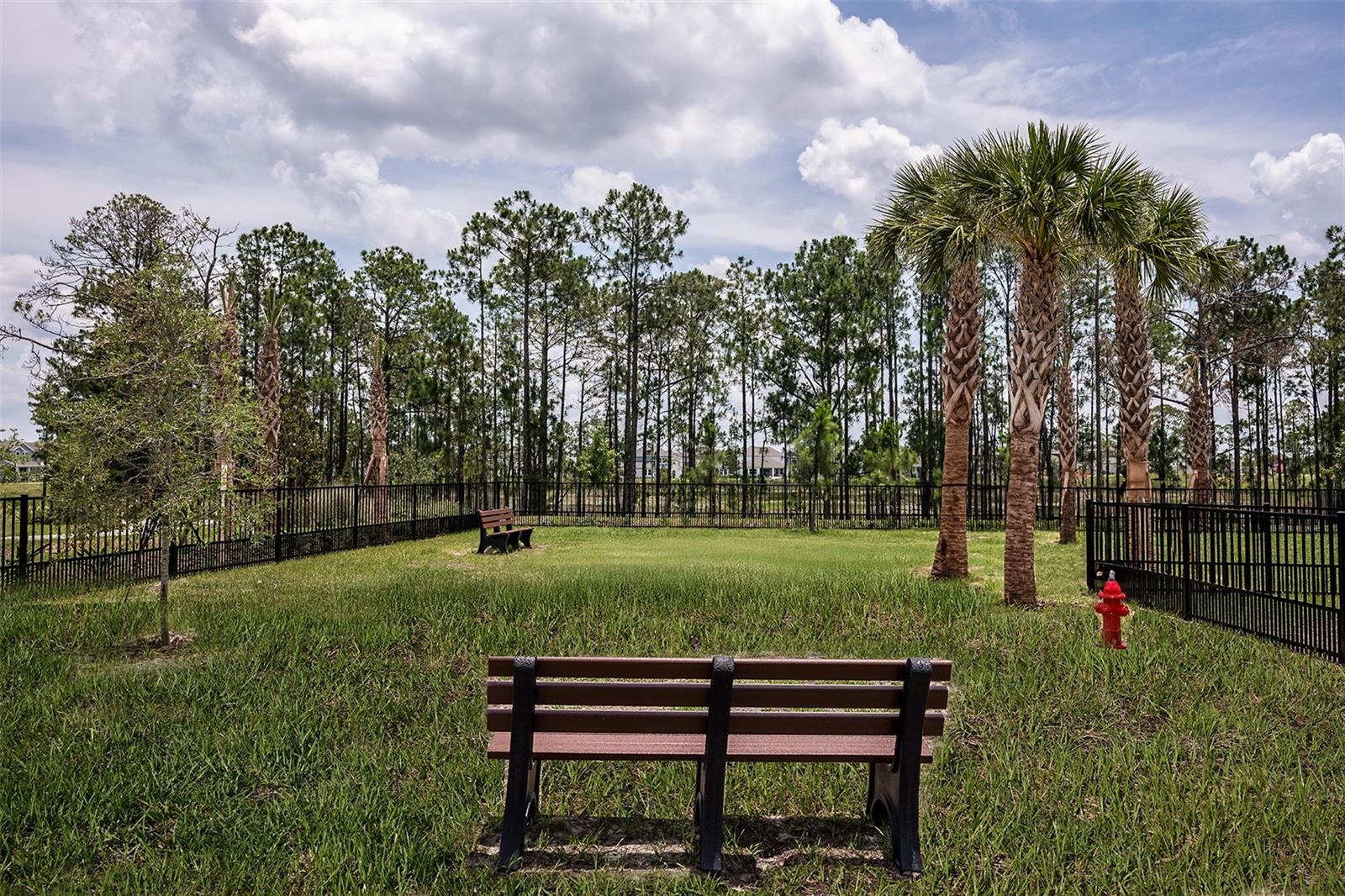 Image 42 of 42 For 14744 Field Daisy Drive