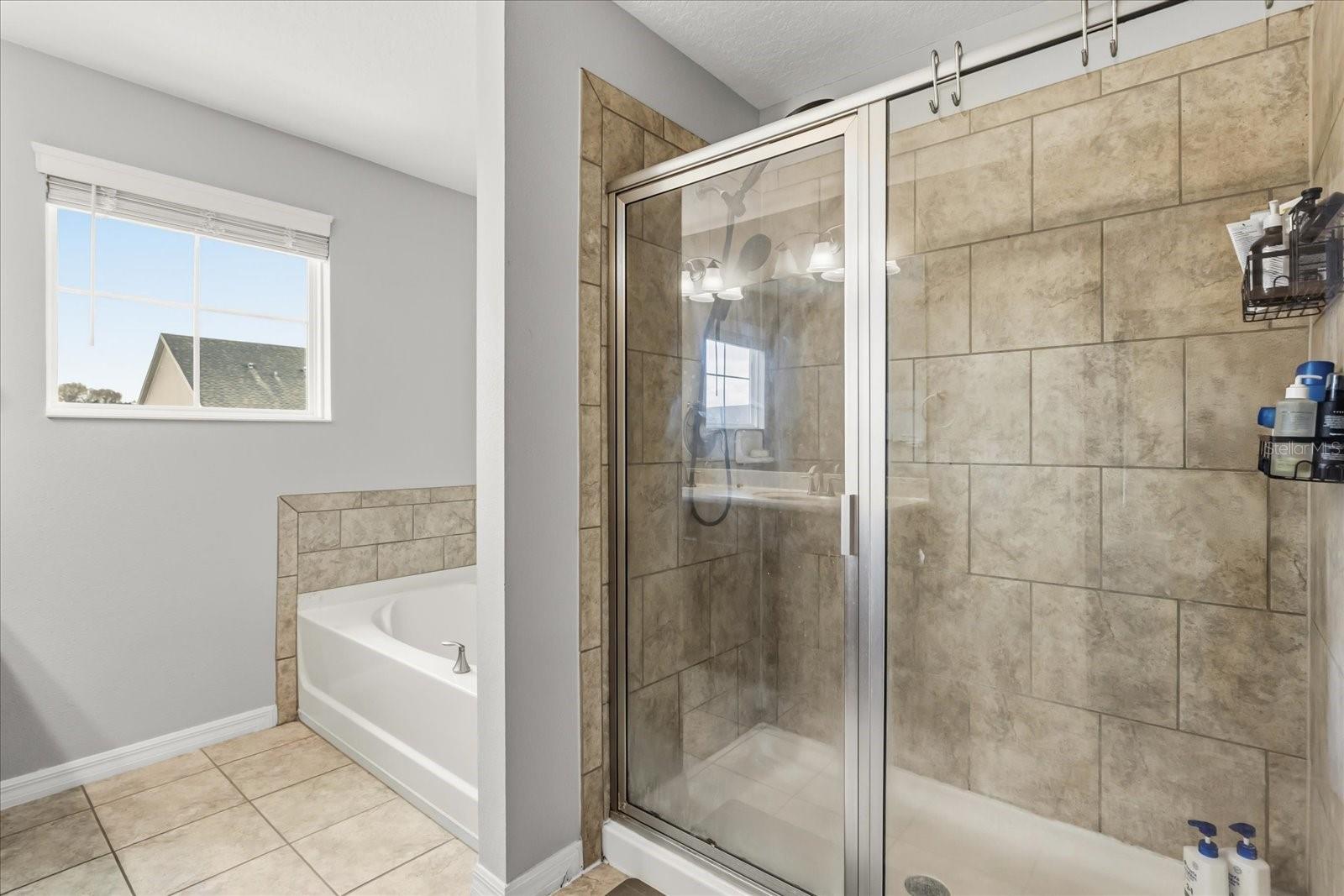 Image 18 of 44 For 348 Michael Blake Boulevard