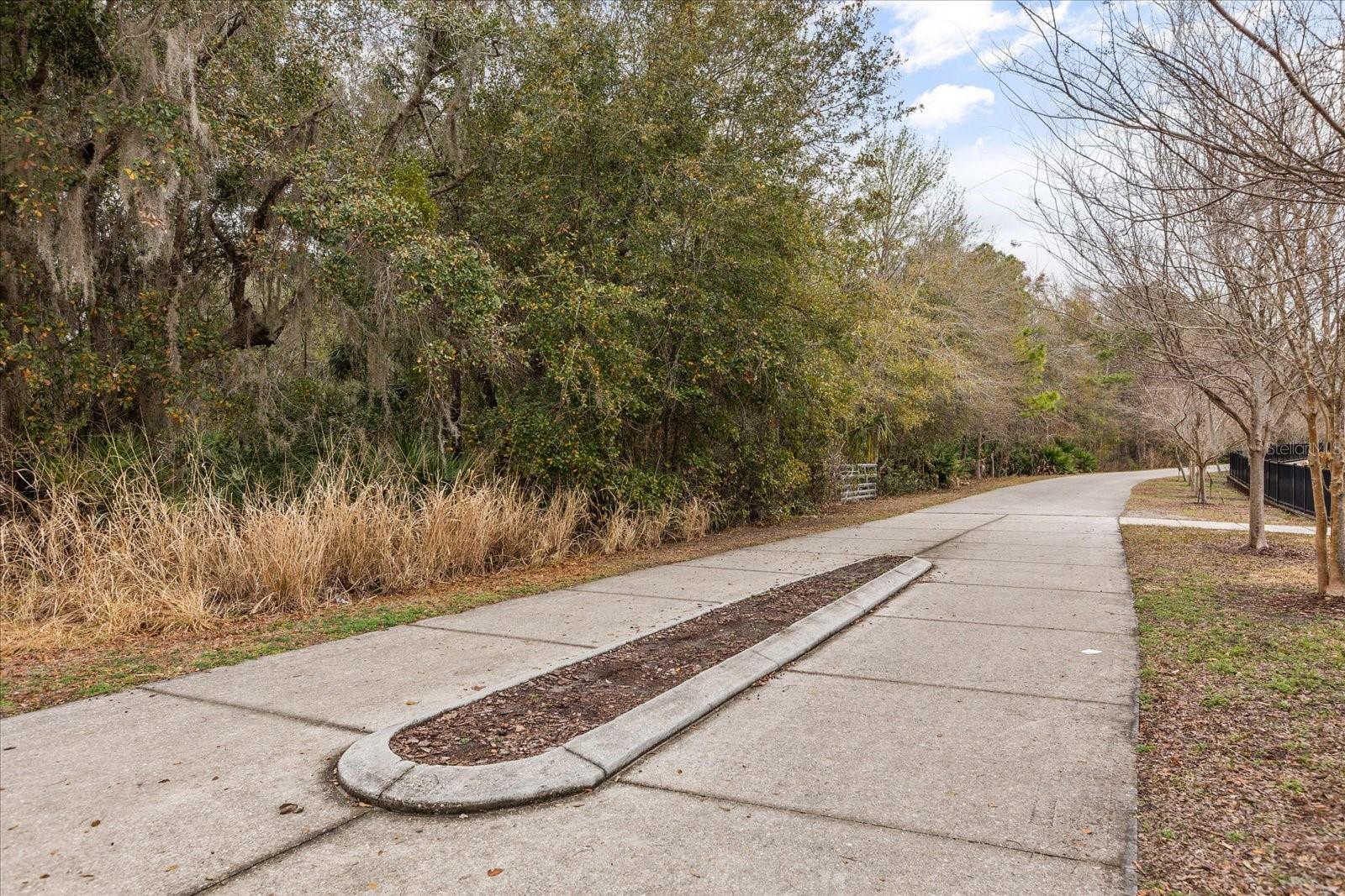 Image 35 of 44 For 348 Michael Blake Boulevard