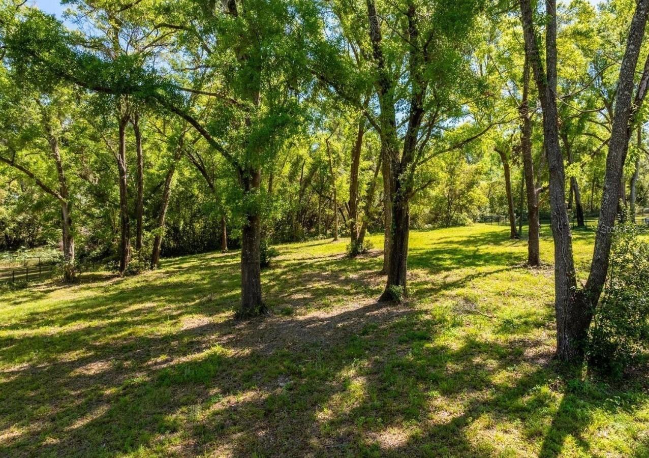 Image 6 of 12 For 7041 Norne Lane