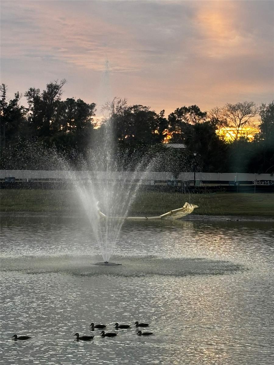 Image 37 of 38 For 520 Zinfandel Drive