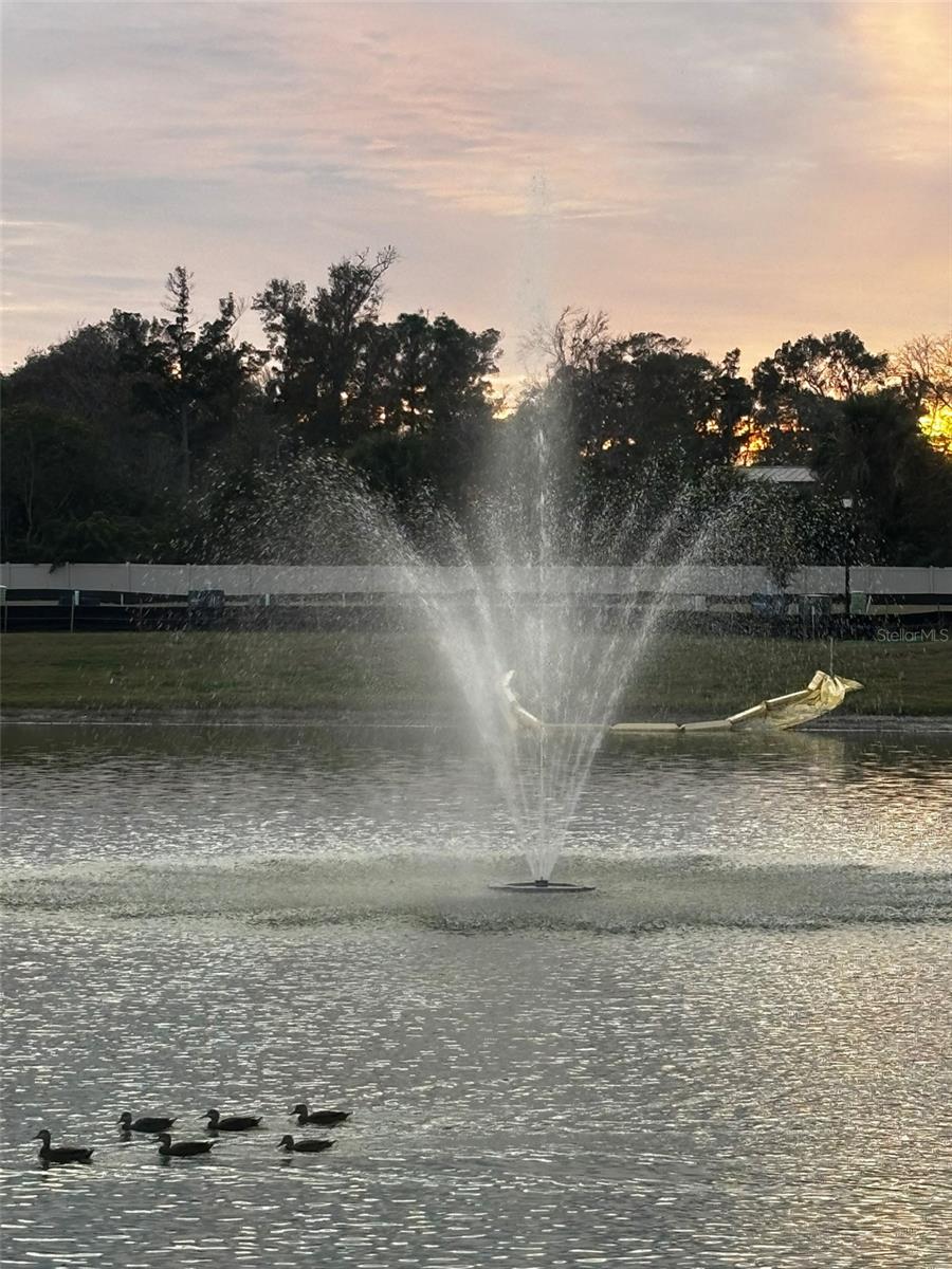 Image 38 of 38 For 520 Zinfandel Drive