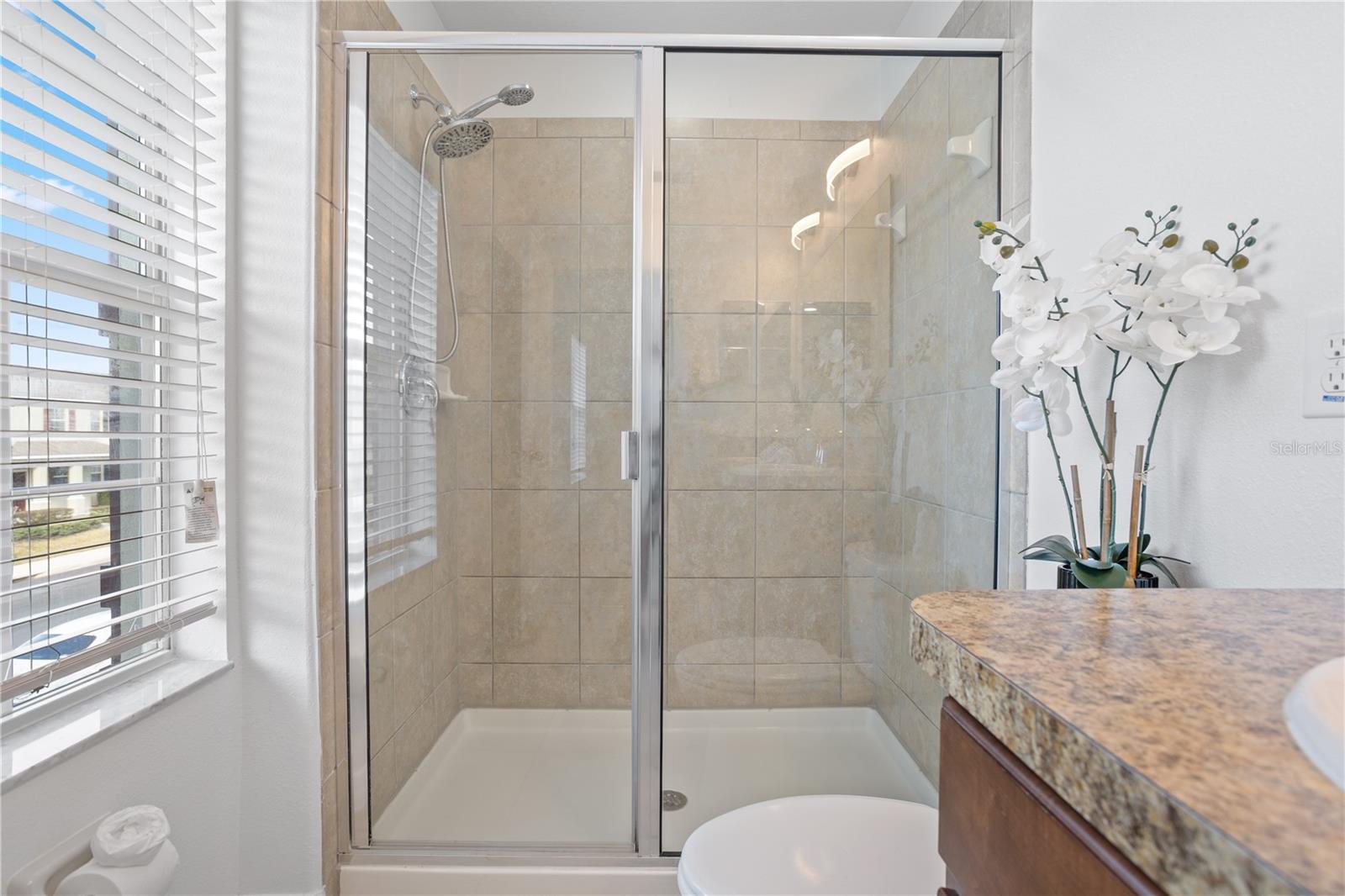 Image 26 of 53 For 1264 Seburn Road