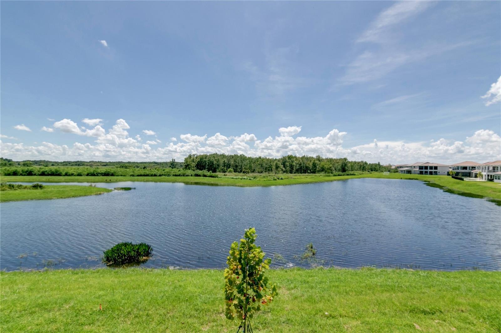 Image 34 of 44 For 13550 Abberwick Drive