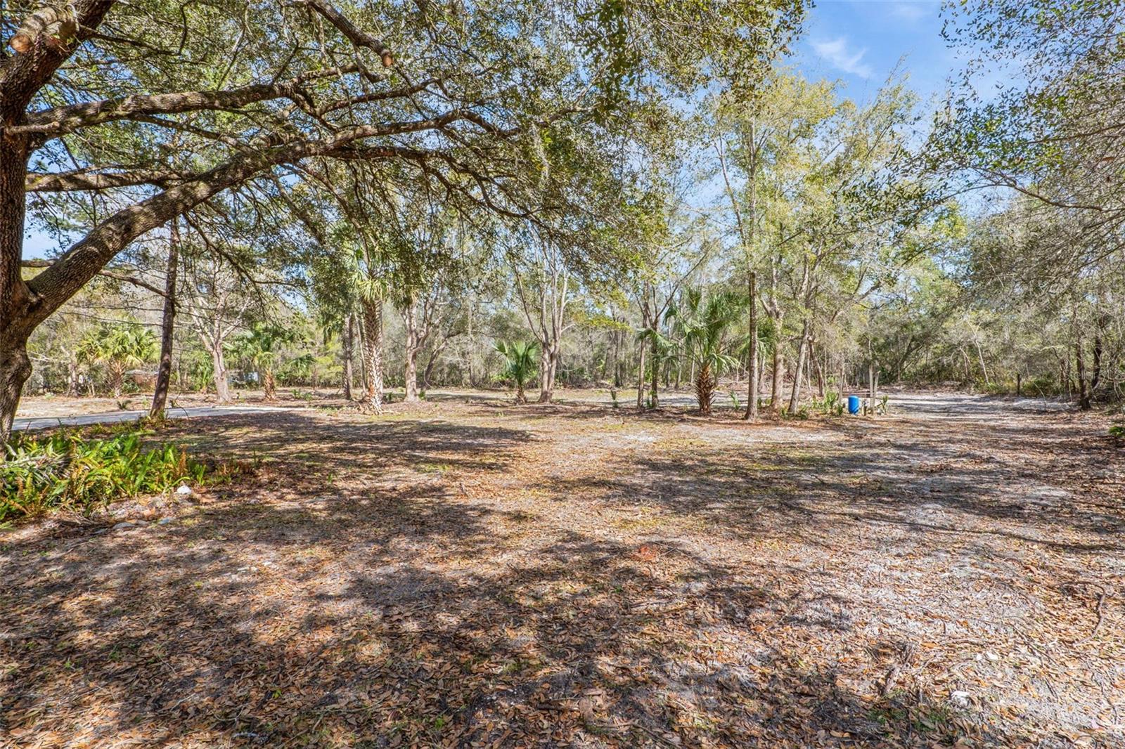 Image 27 of 35 For 590 Lawton Avenue