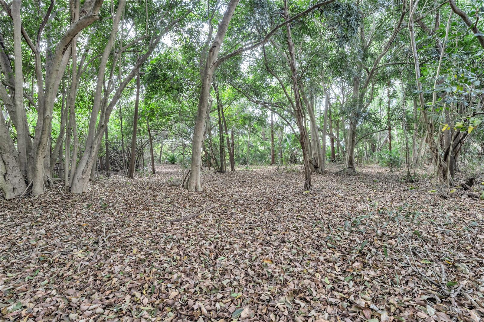 Image 16 of 17 For 14181 35th Place N