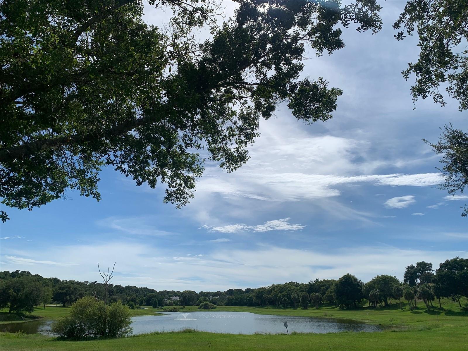 Image 33 of 48 For 2122 Oak Grove Drive 79