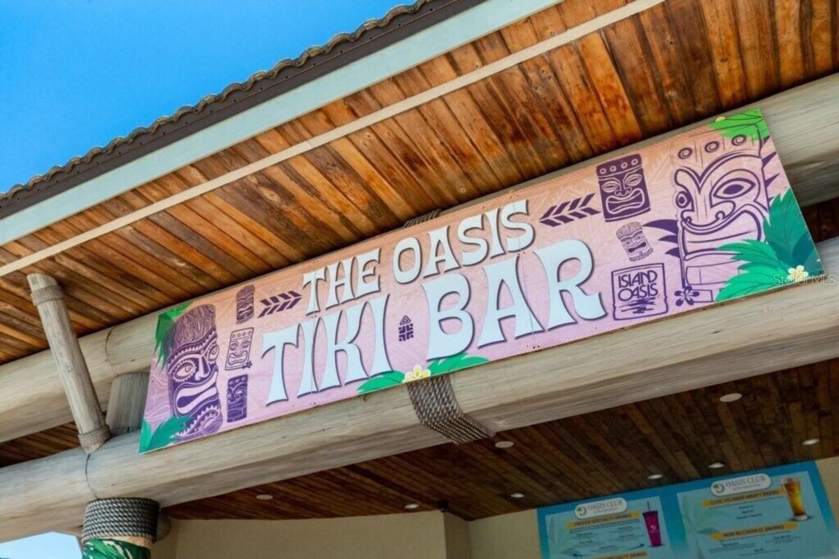 Image 74 of 85 For 9039 Play Through Drive