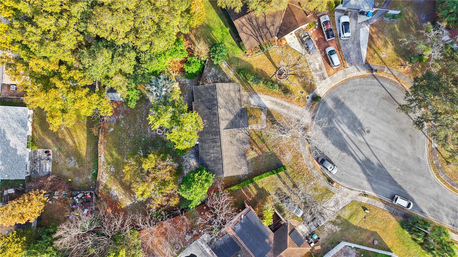 Image 5 of 26 For 102 Camphorwood Court