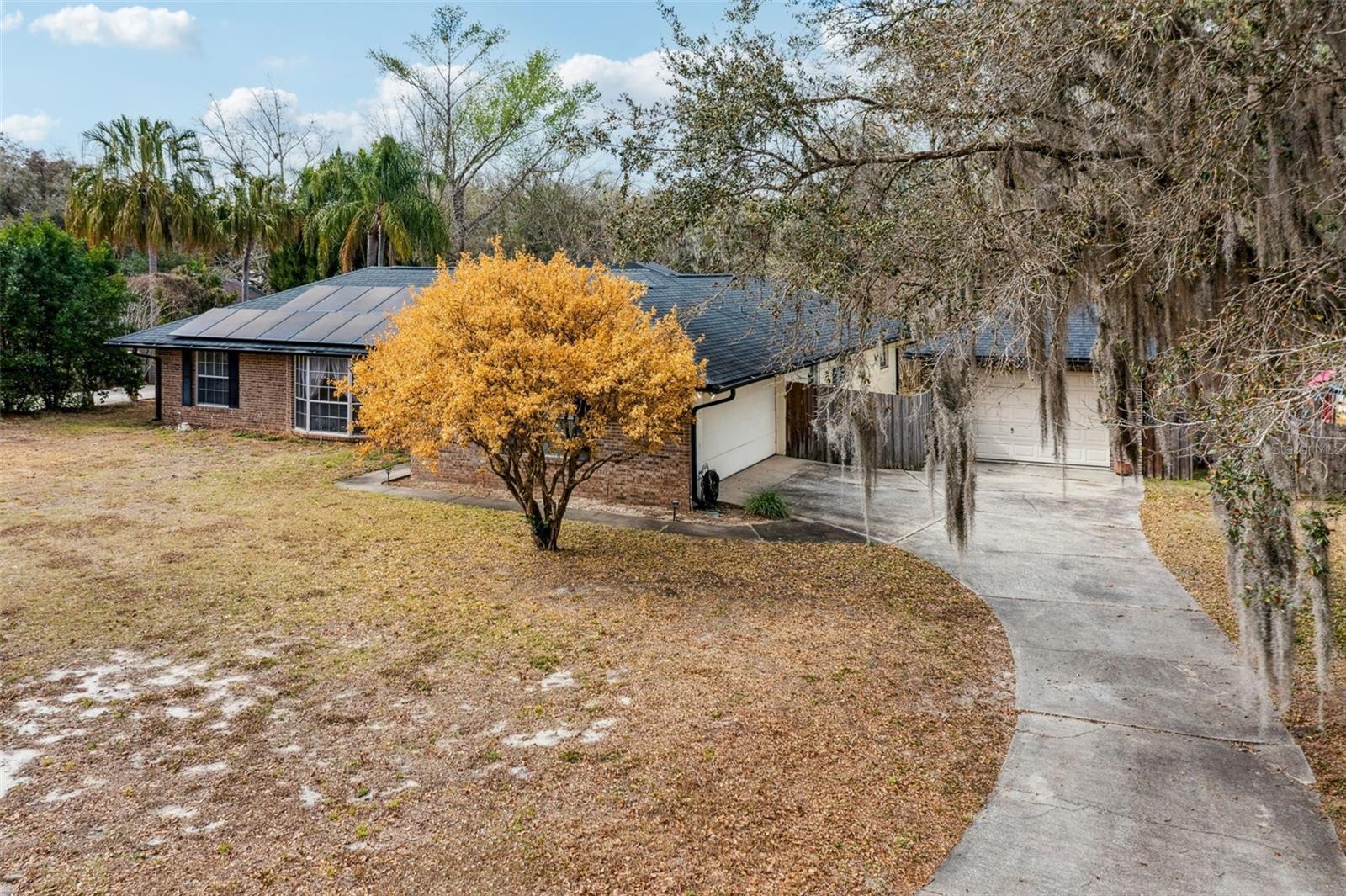 Image 32 of 40 For 895 Palmetto Street