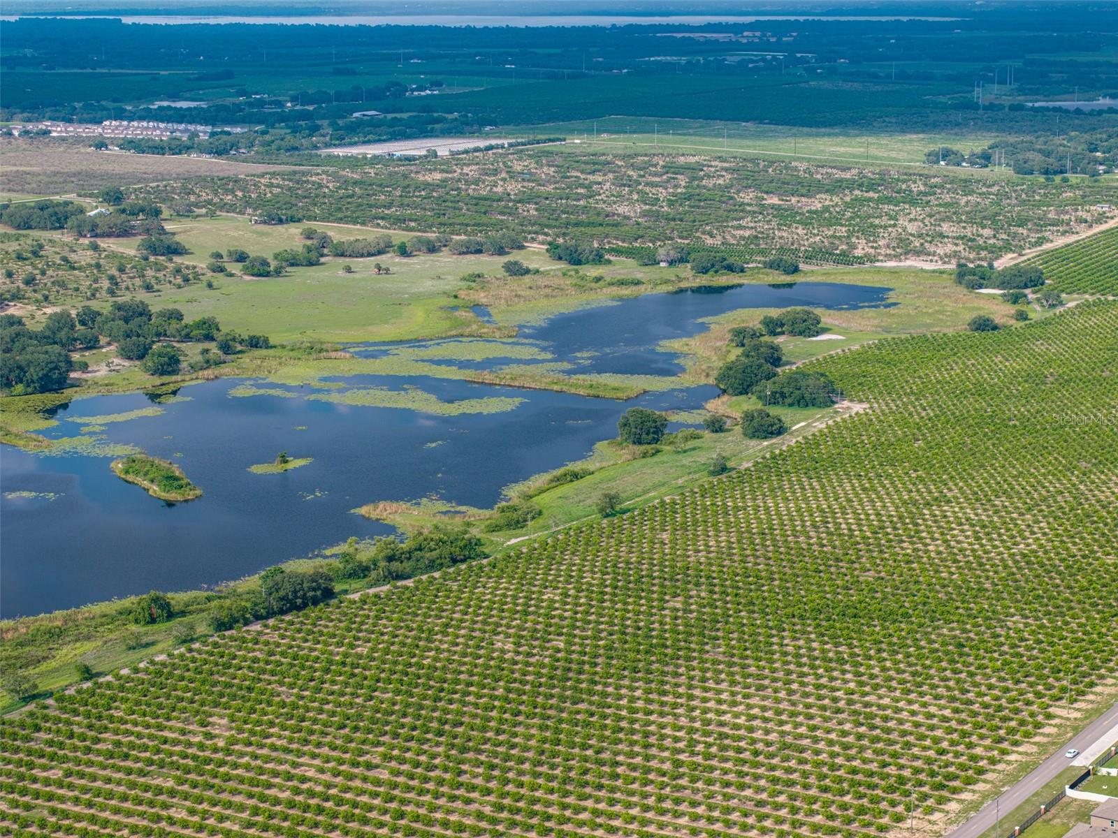 Image 10 of 12 For Lake Marie Drive