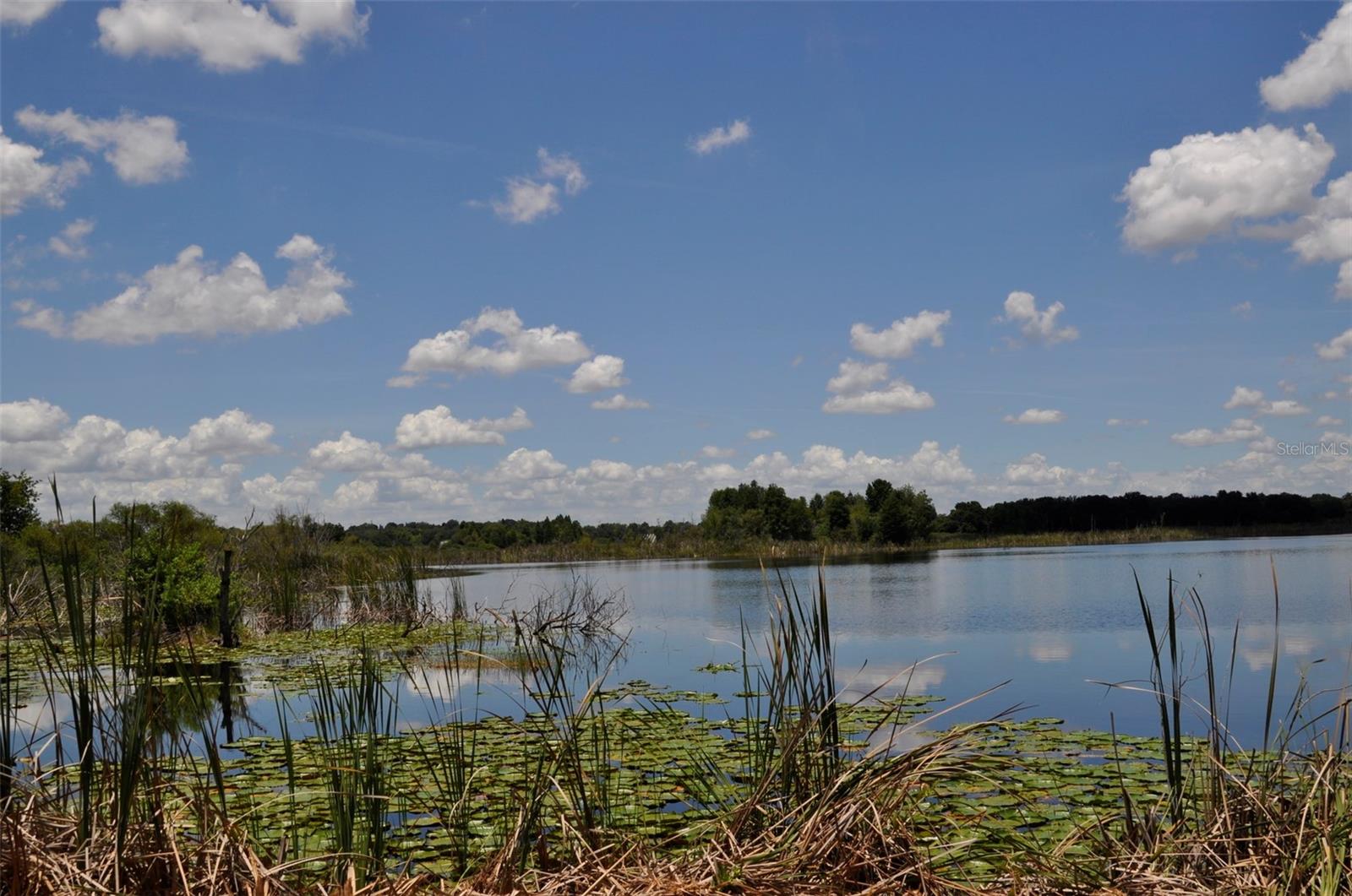 Image 2 of 12 For Lake Marie Drive