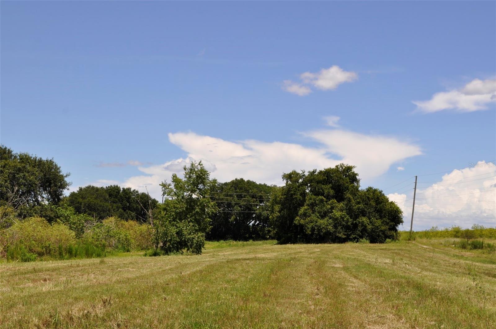 Image 4 of 12 For Lake Marie Drive