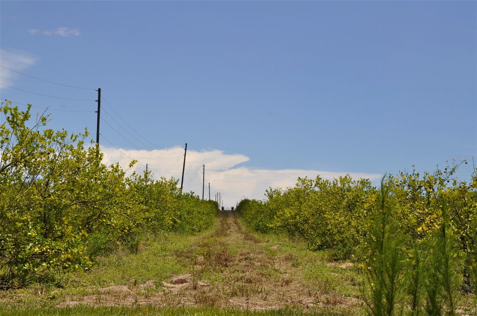 Image 5 of 12 For Lake Marie Drive