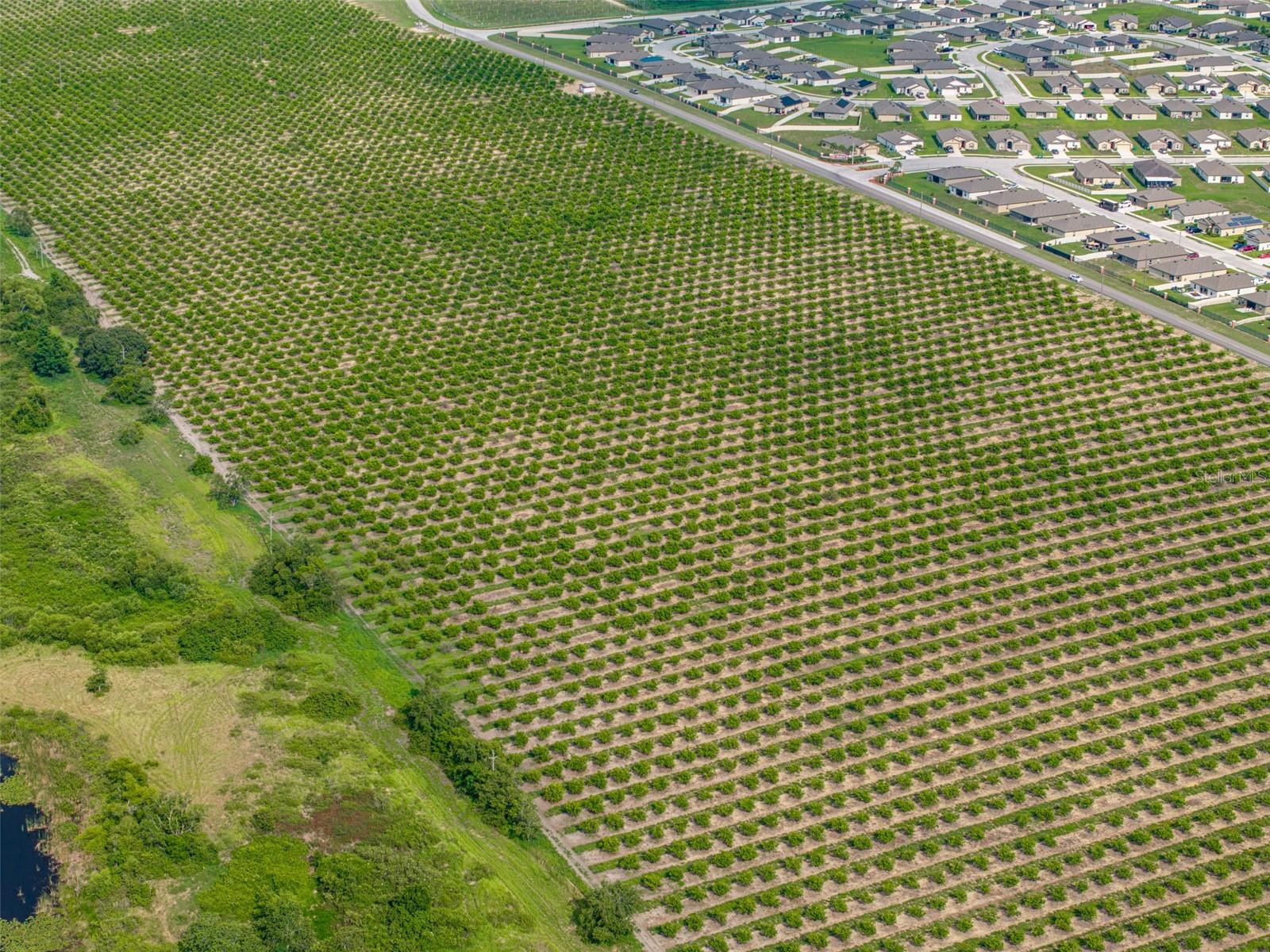 Image 8 of 12 For Lake Marie Drive