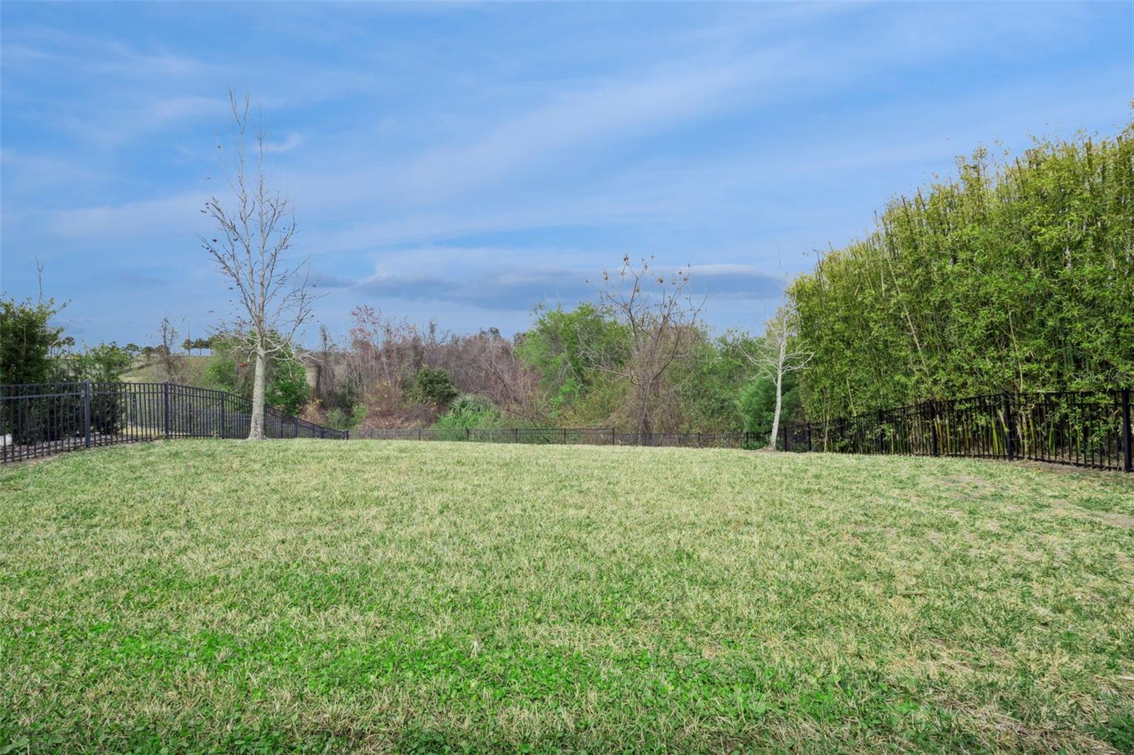 Image 33 of 34 For 3029 Irish Peach Drive