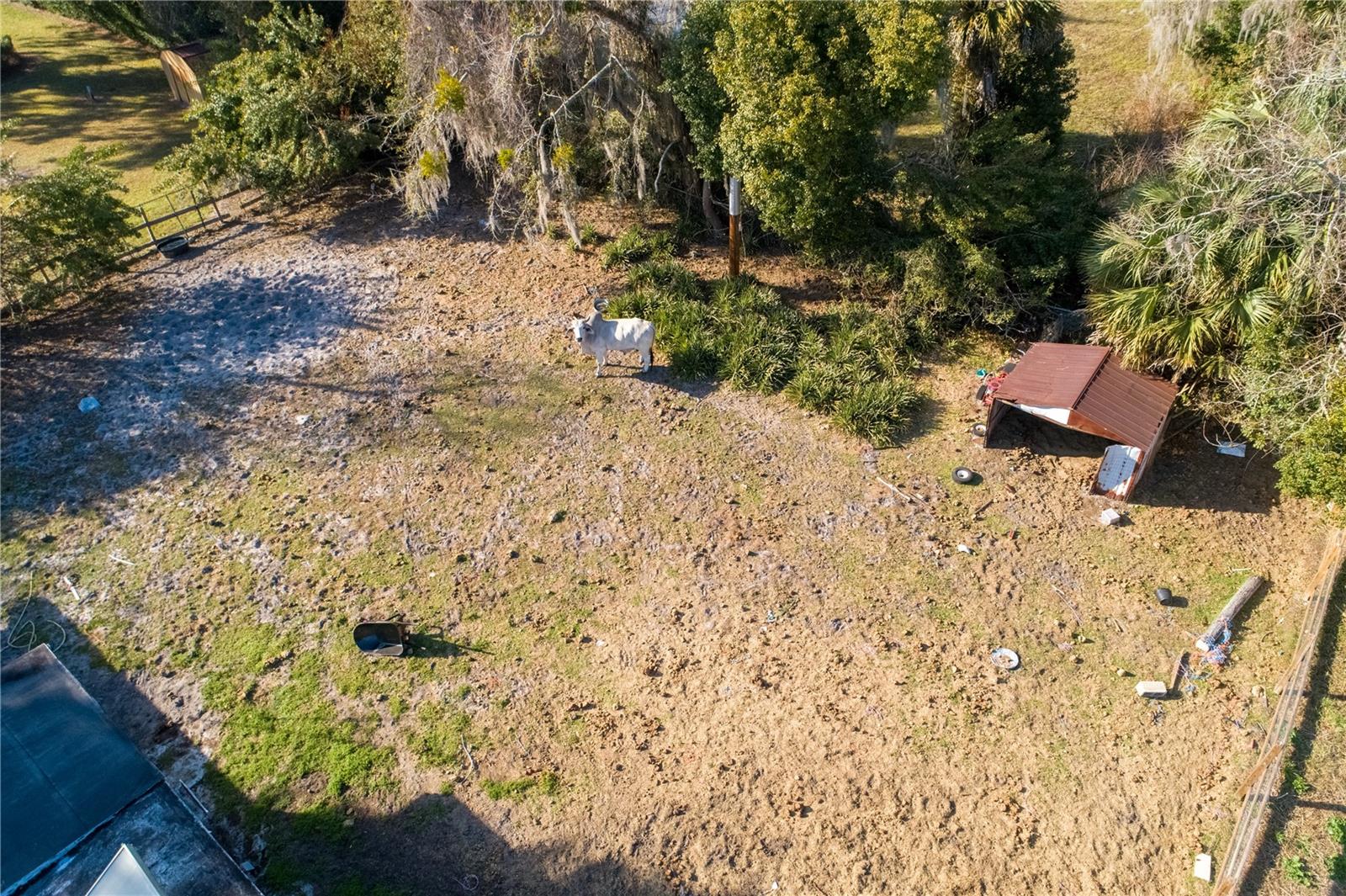 Image 19 of 26 For 921 Vihlen Road