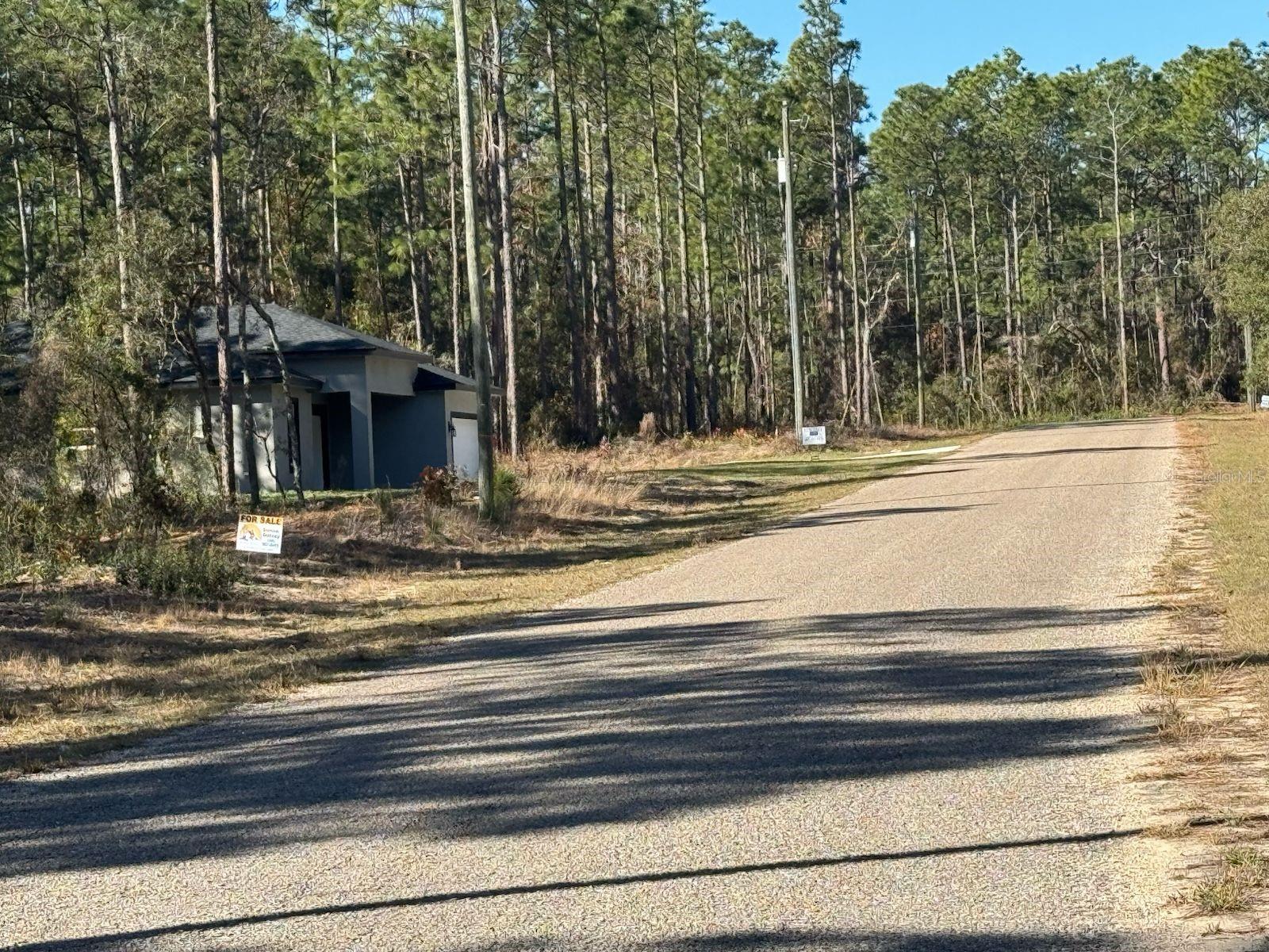 Details for 9367 Fairy Lilly Drive, CITRUS SPRINGS, FL 34433