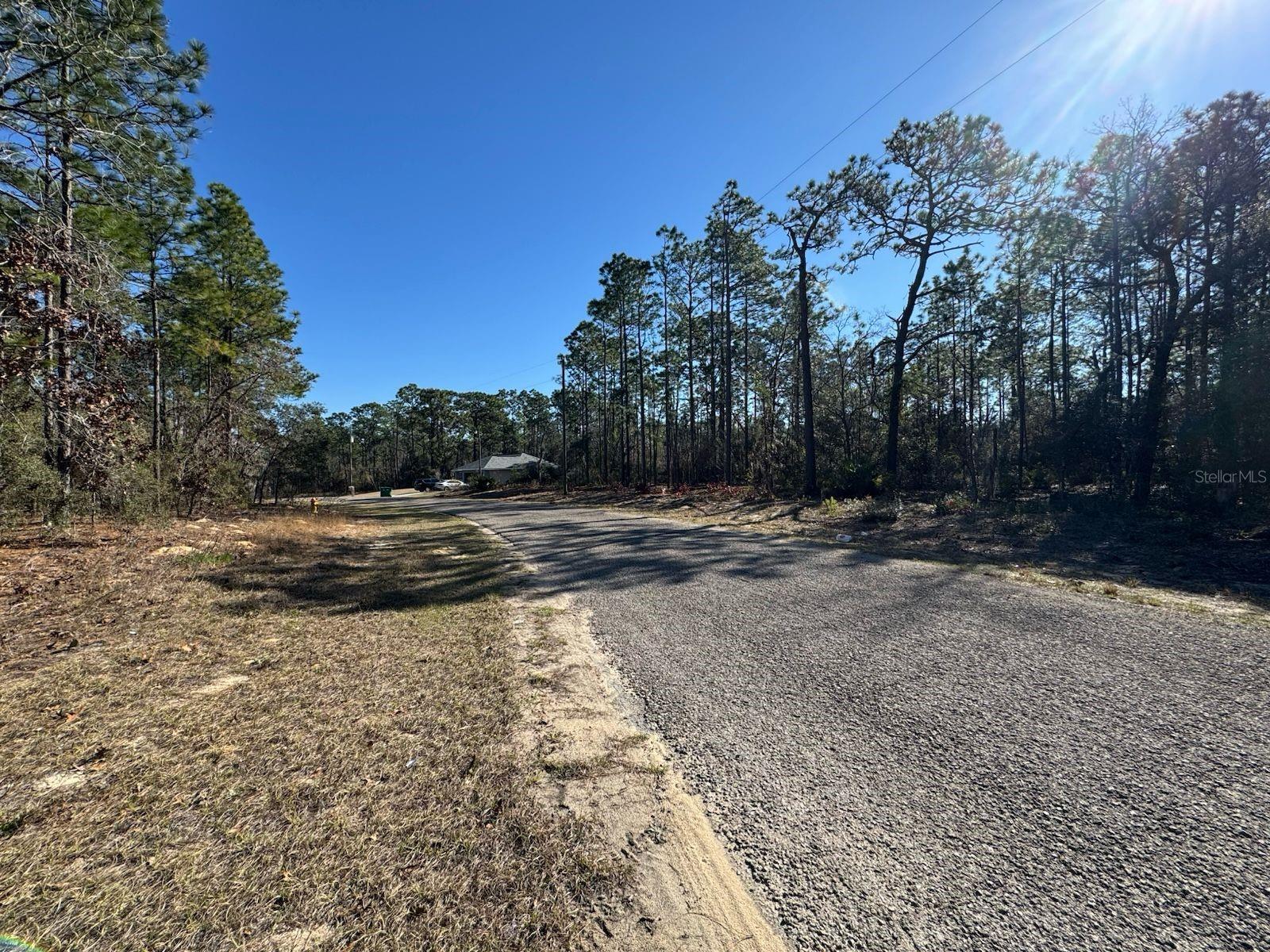 Image 4 of 10 For 9367 Fairy Lilly Drive