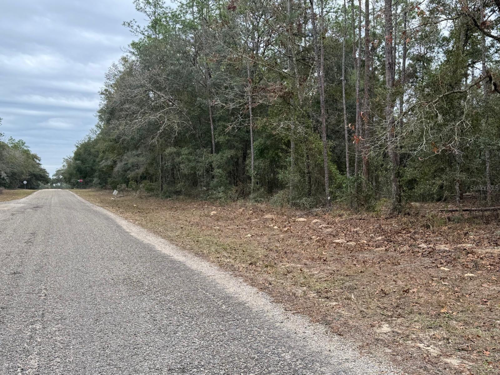 Image 4 of 10 For 60 Falcon Street