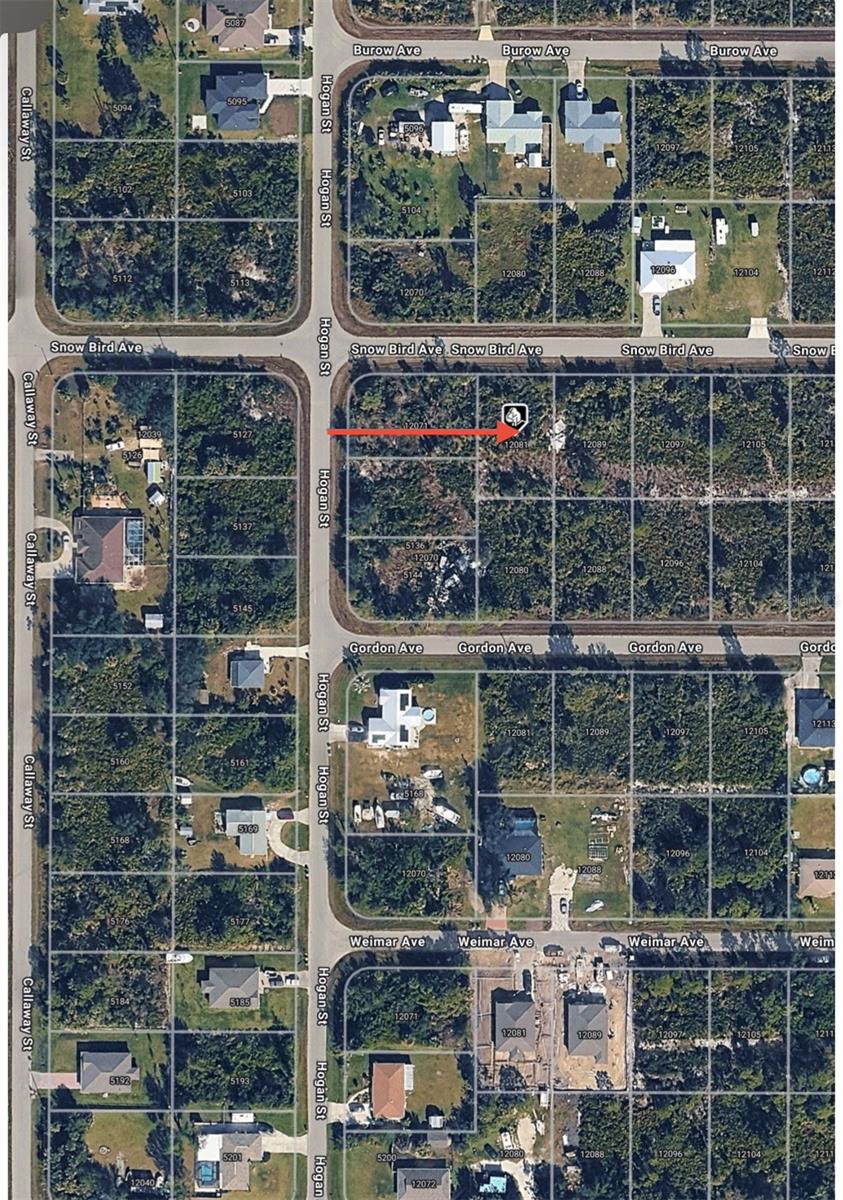 Image 5 of 5 For 12081 Snow Bird Avenue