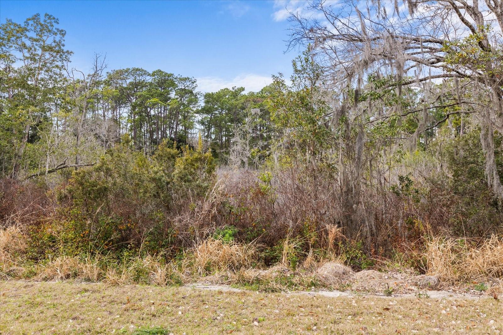 Image 76 of 76 For 455 Briar Patch Lane