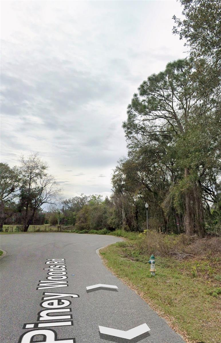 Image 5 of 5 For 101 Piney Woods Road