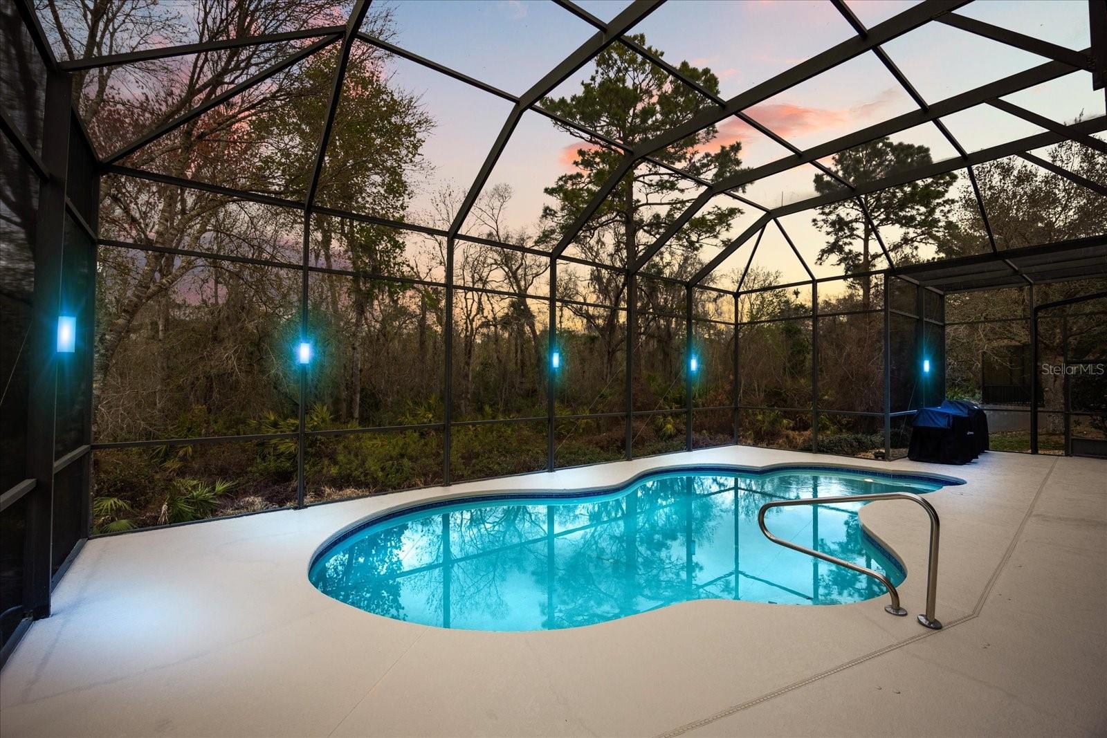 Listing photo id 0 for 2324 Willow Drop Way