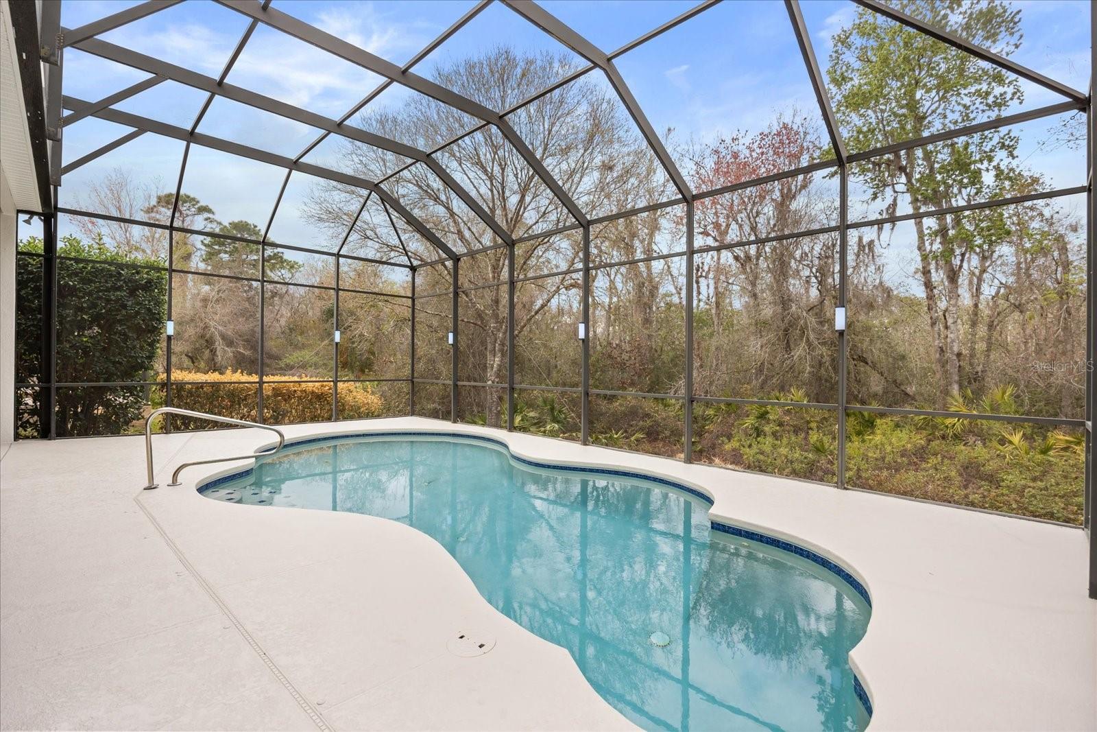 Listing photo id 36 for 2324 Willow Drop Way