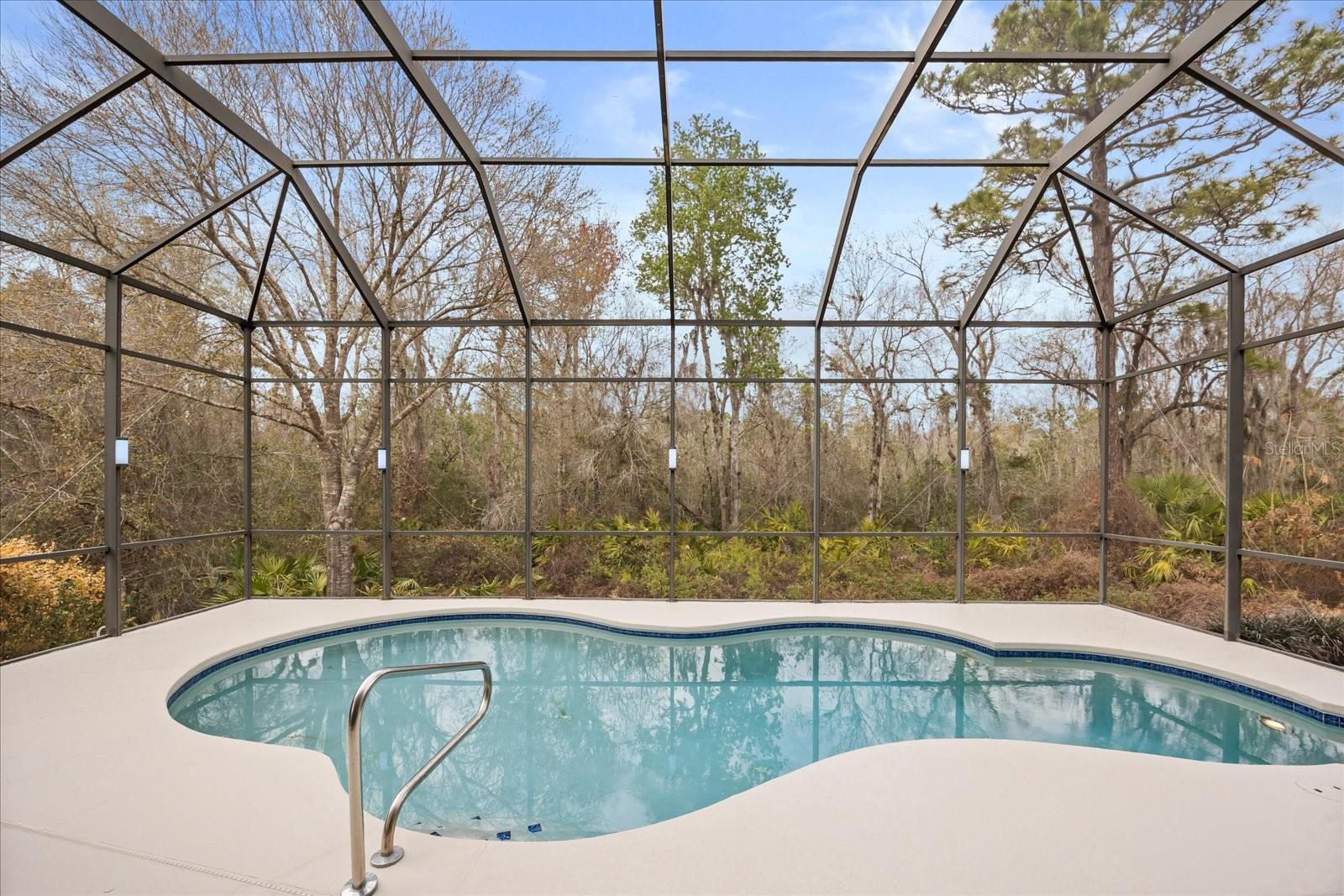 Listing photo id 37 for 2324 Willow Drop Way