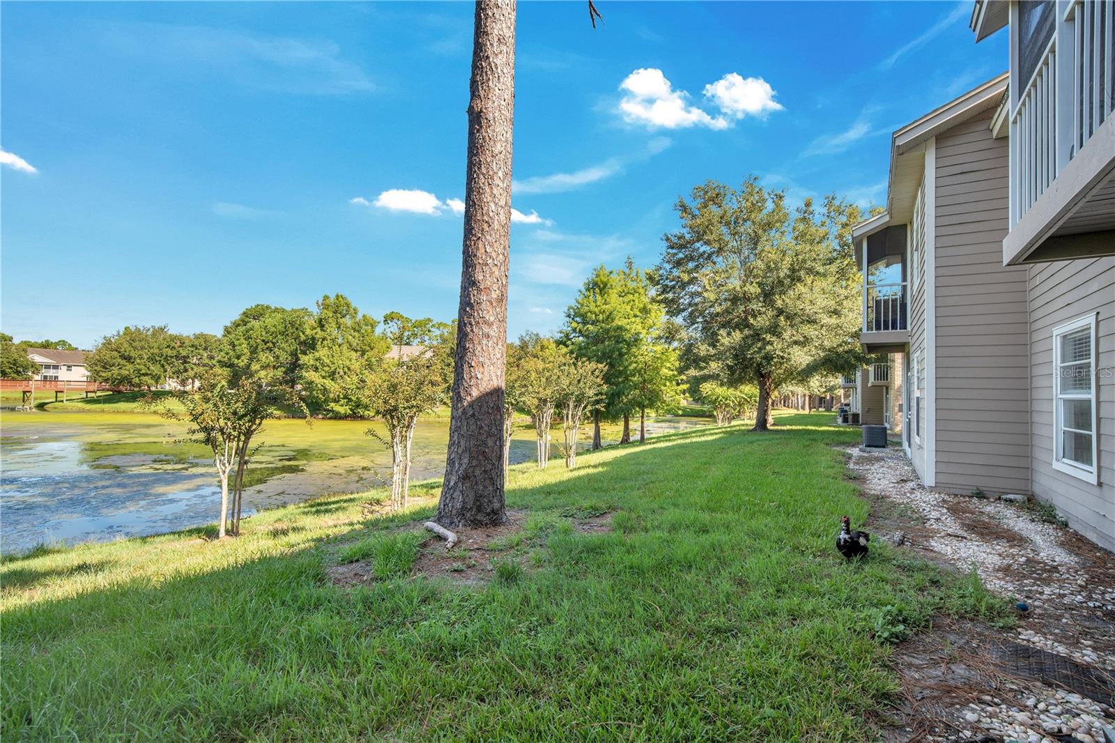 Image 20 of 27 For 100 Reserve Circle 104