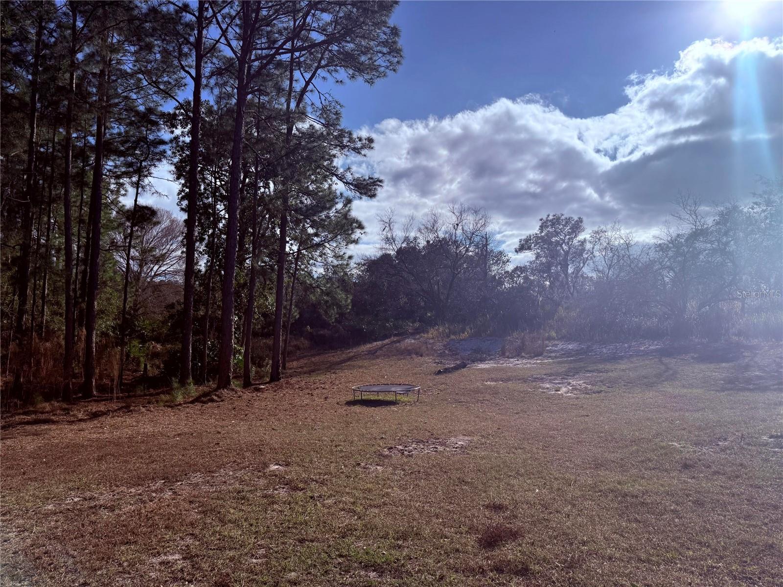 Image 3 of 25 For 900 Racoon Trail