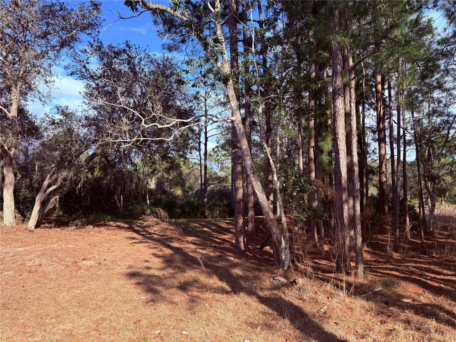 Image 6 of 25 For 900 Racoon Trail