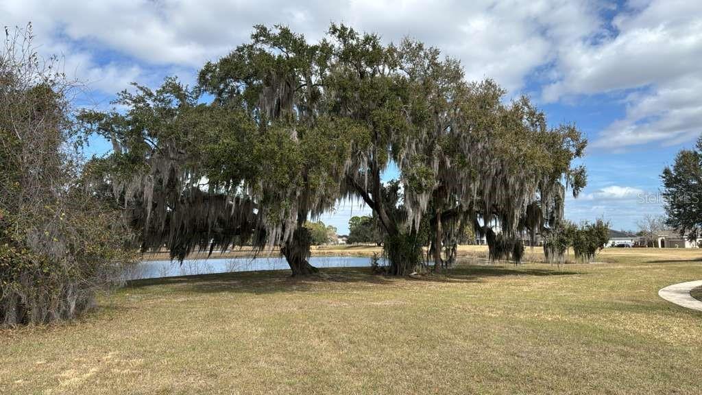 Image 4 of 8 For 2231 Marshfield Preserve Way