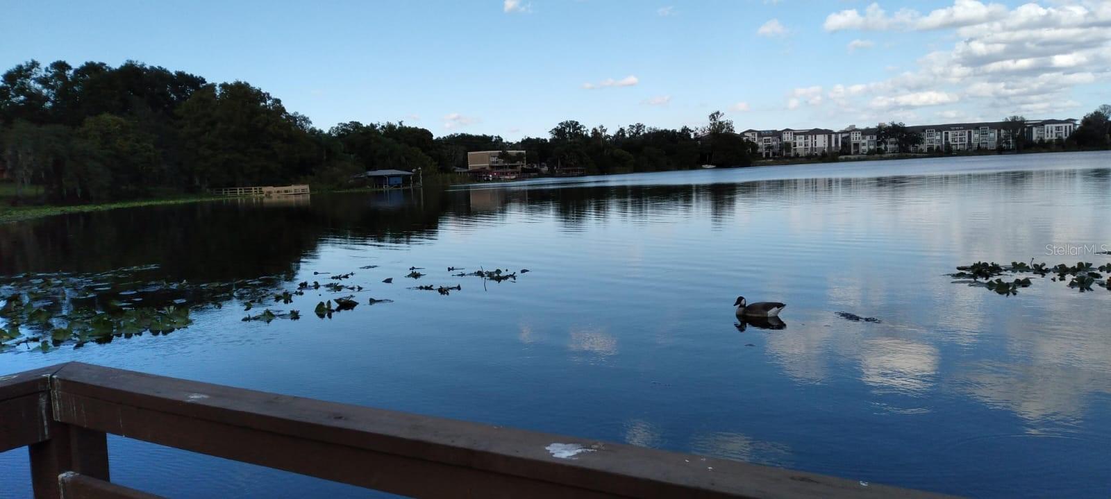 Image 28 of 28 For 824 Town Circle 101