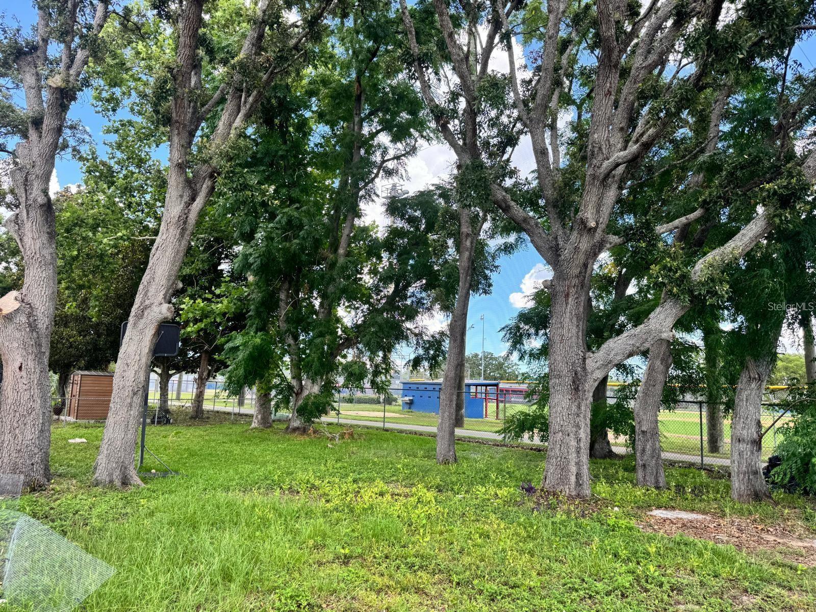 Image 10 of 11 For 11063 Auburndale Street